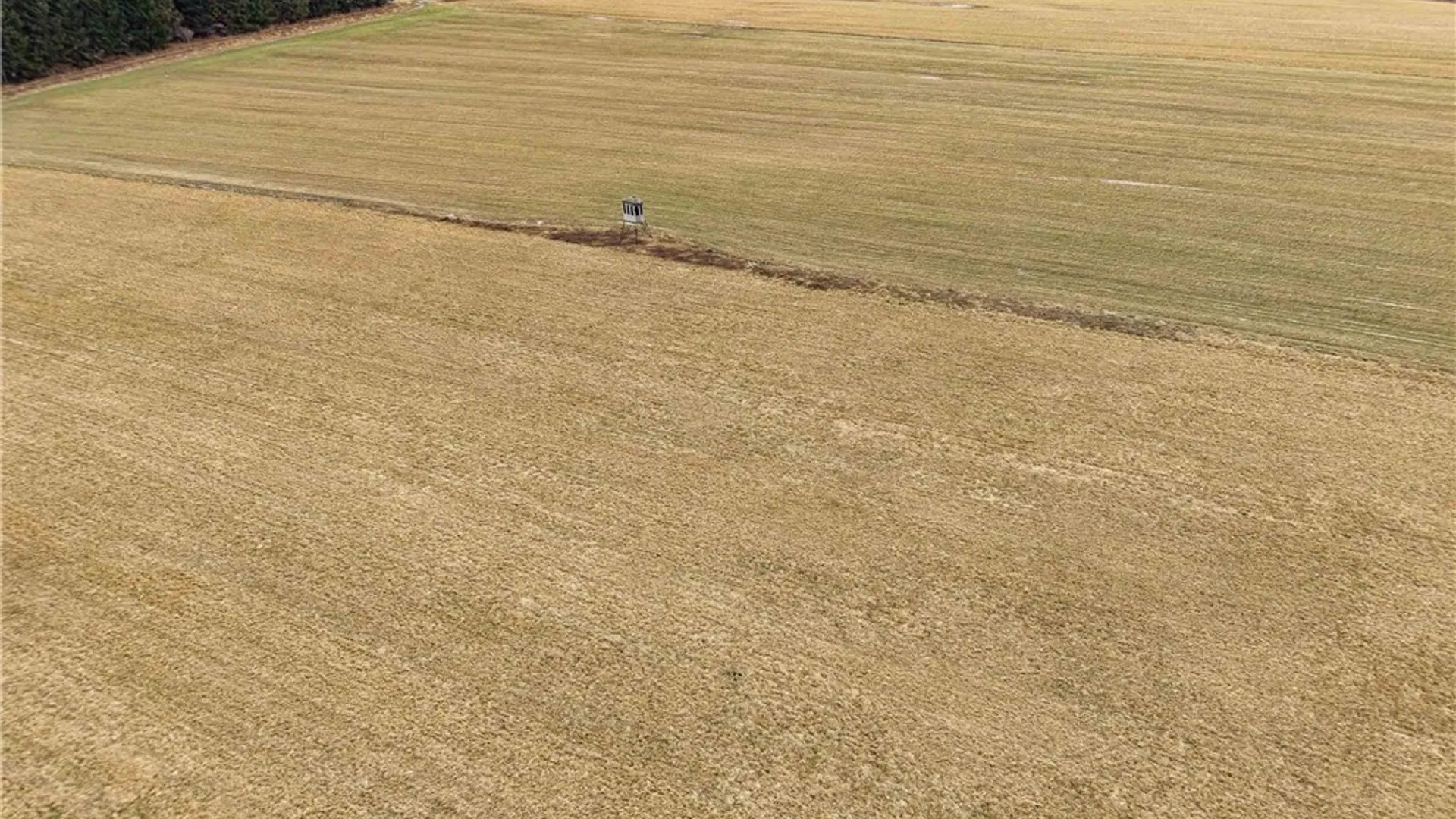 Property at Engdahl Road, Charlotte, NY 14723 11