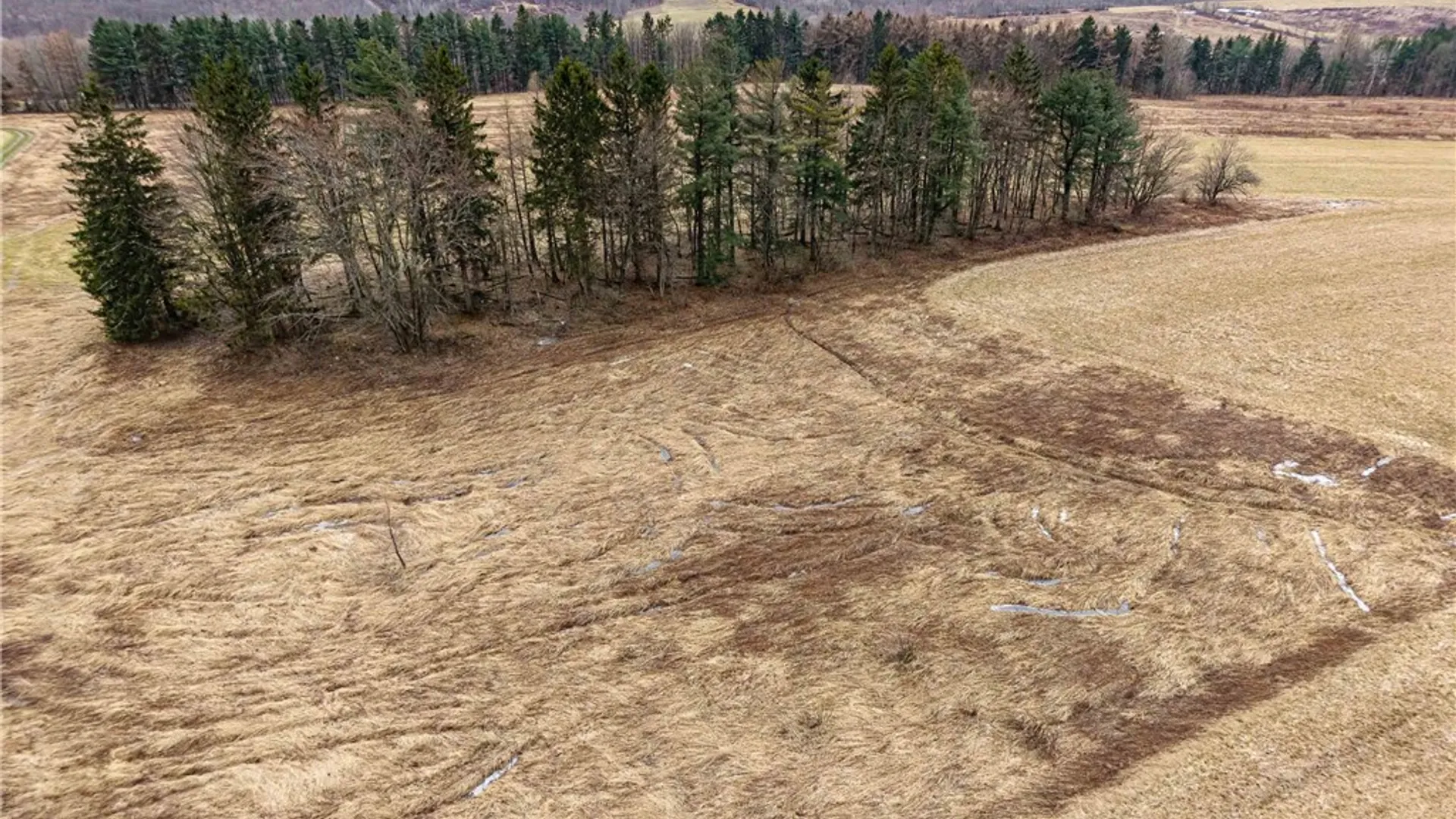 Property at Engdahl Road, Charlotte, NY 14723 12