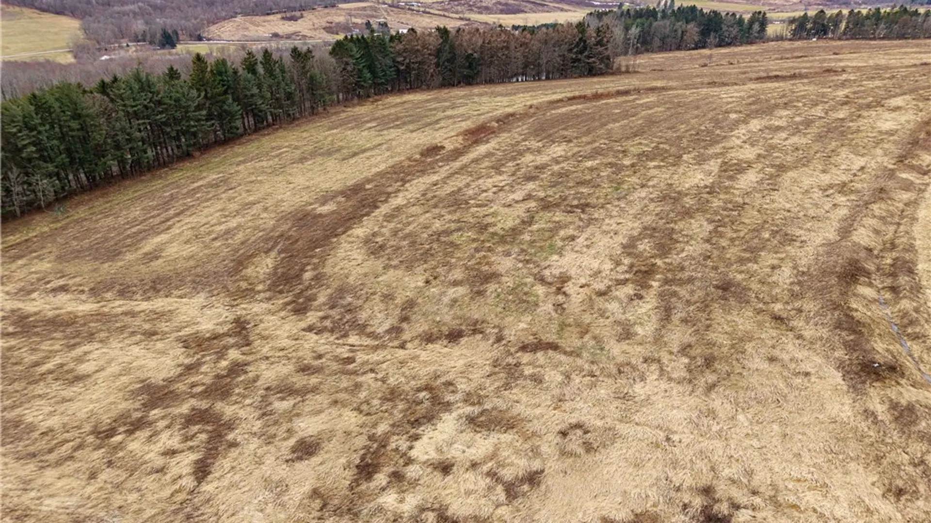 Property at Engdahl Road, Charlotte, NY 14723 13