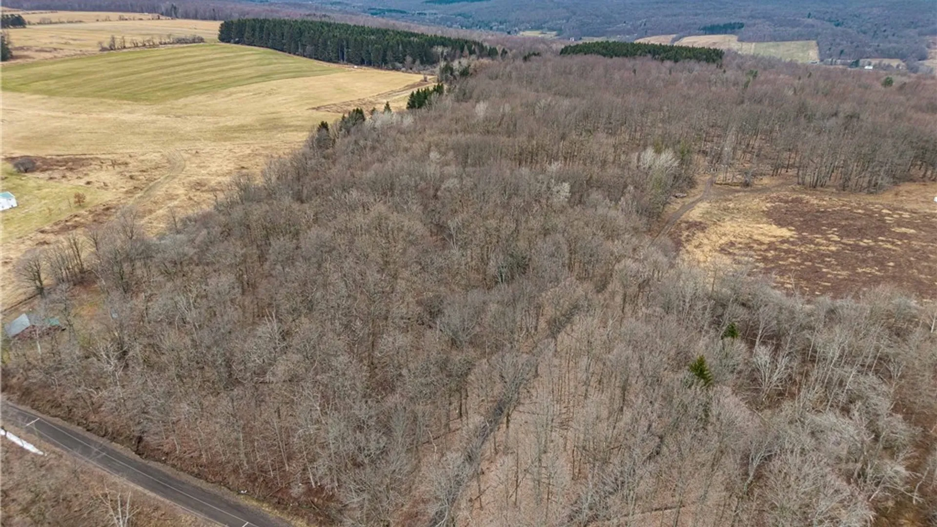 Property at Engdahl Road, Charlotte, NY 14723 17