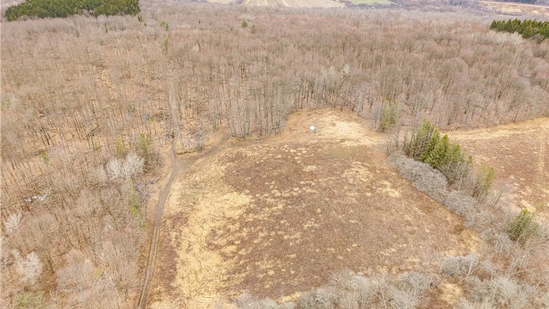 Property at Engdahl Road, Charlotte, NY 14723 19