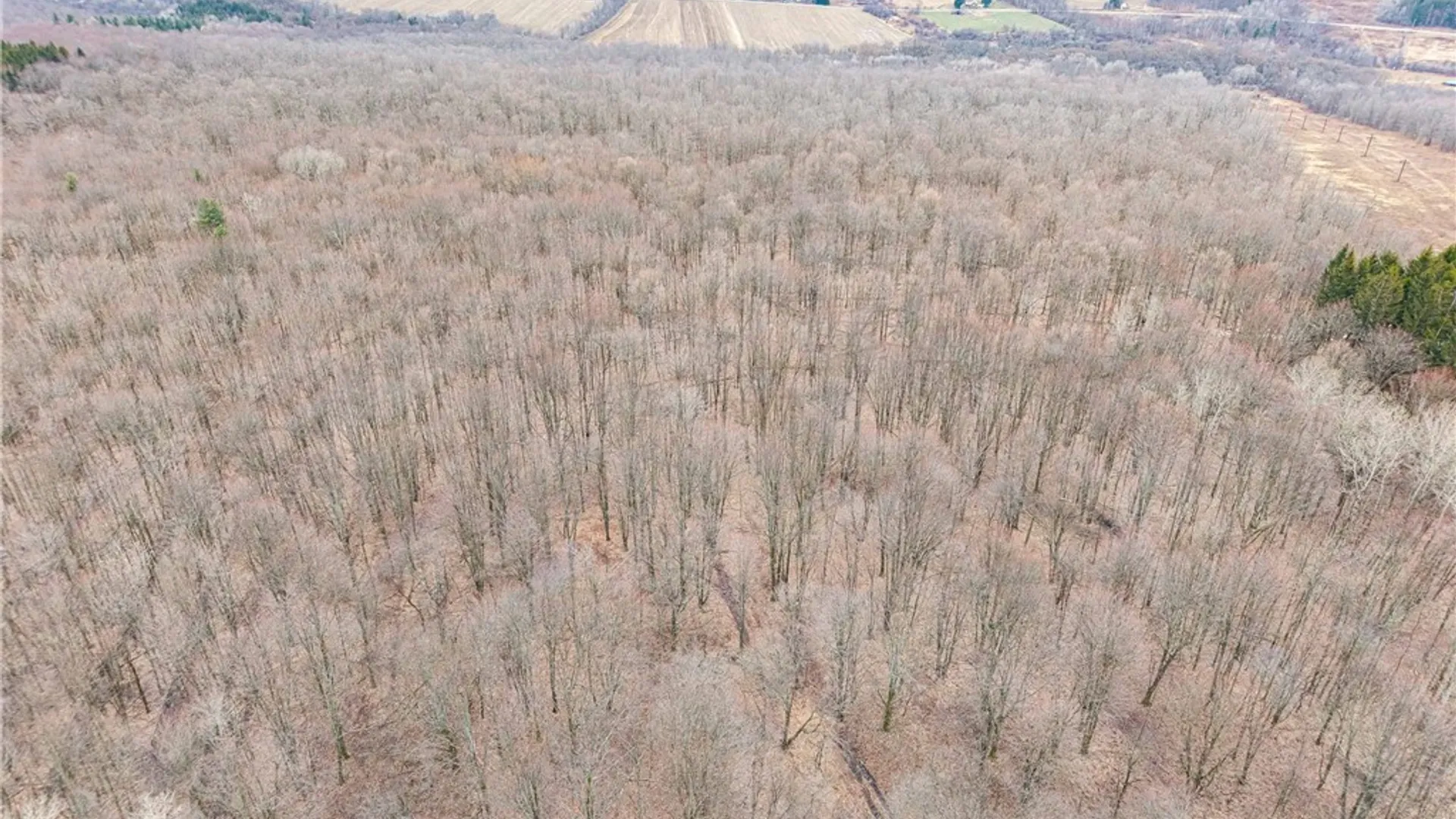 Property at Engdahl Road, Charlotte, NY 14723 20