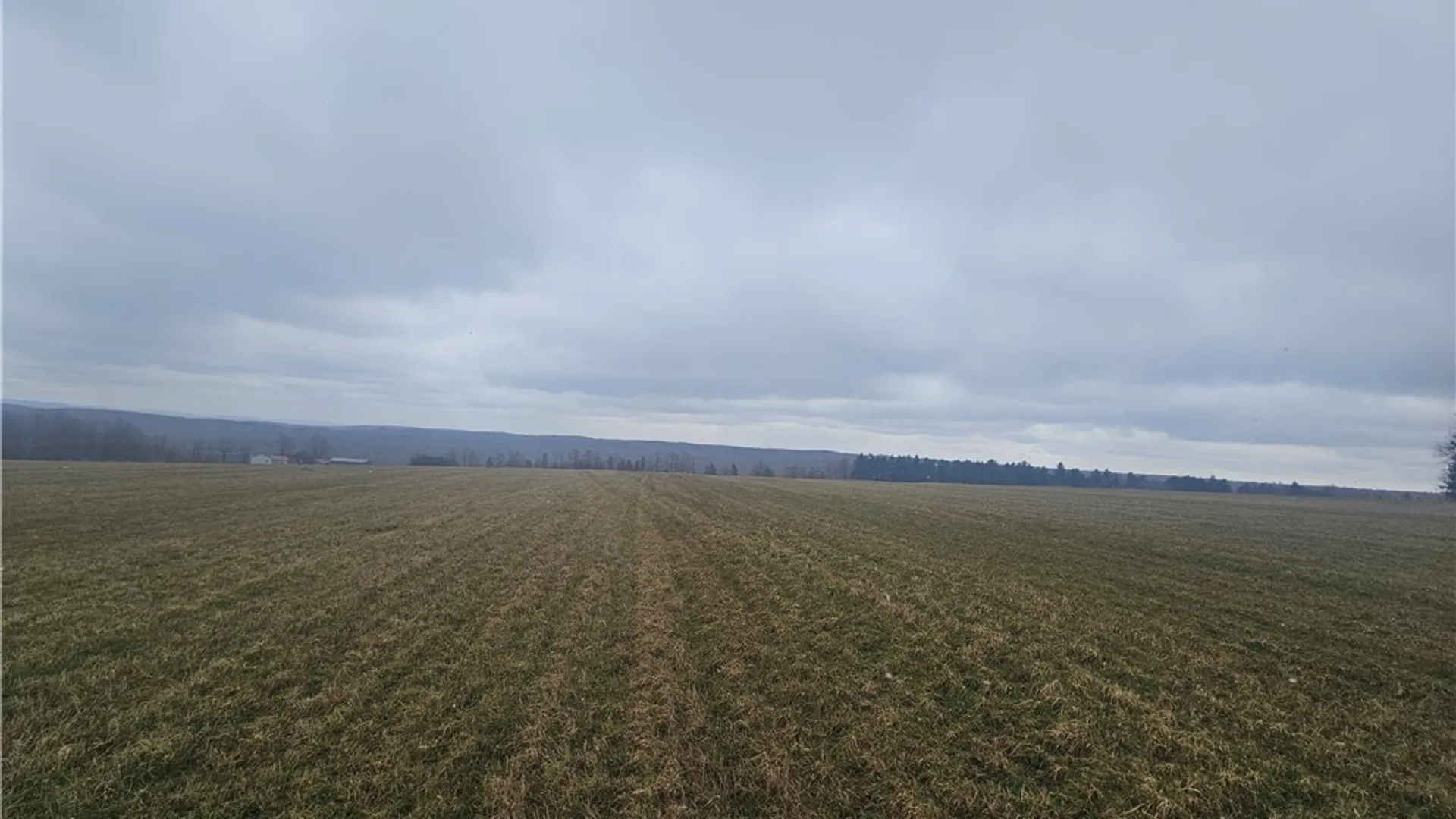 Property at Engdahl Road, Charlotte, NY 14723 29