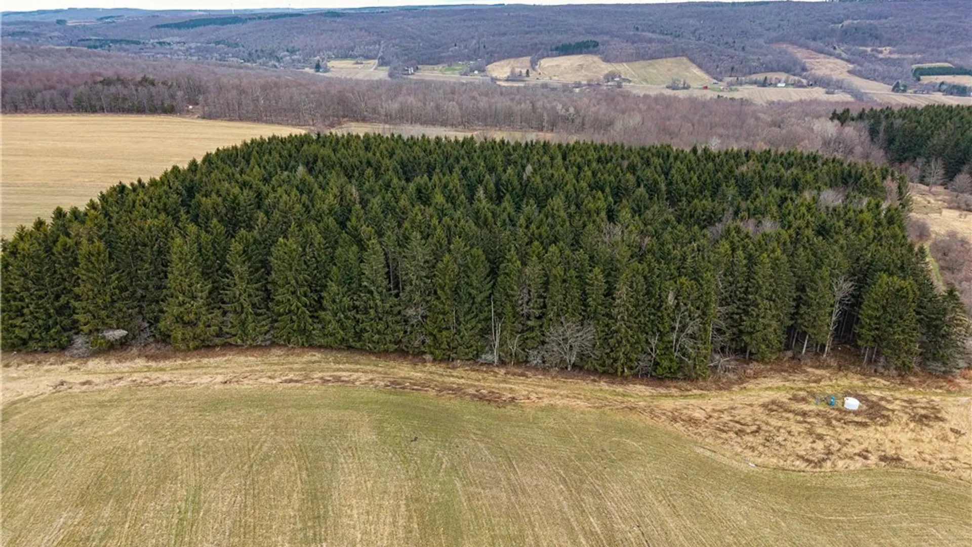 Property at Engdahl Road, Charlotte, NY 14723 3