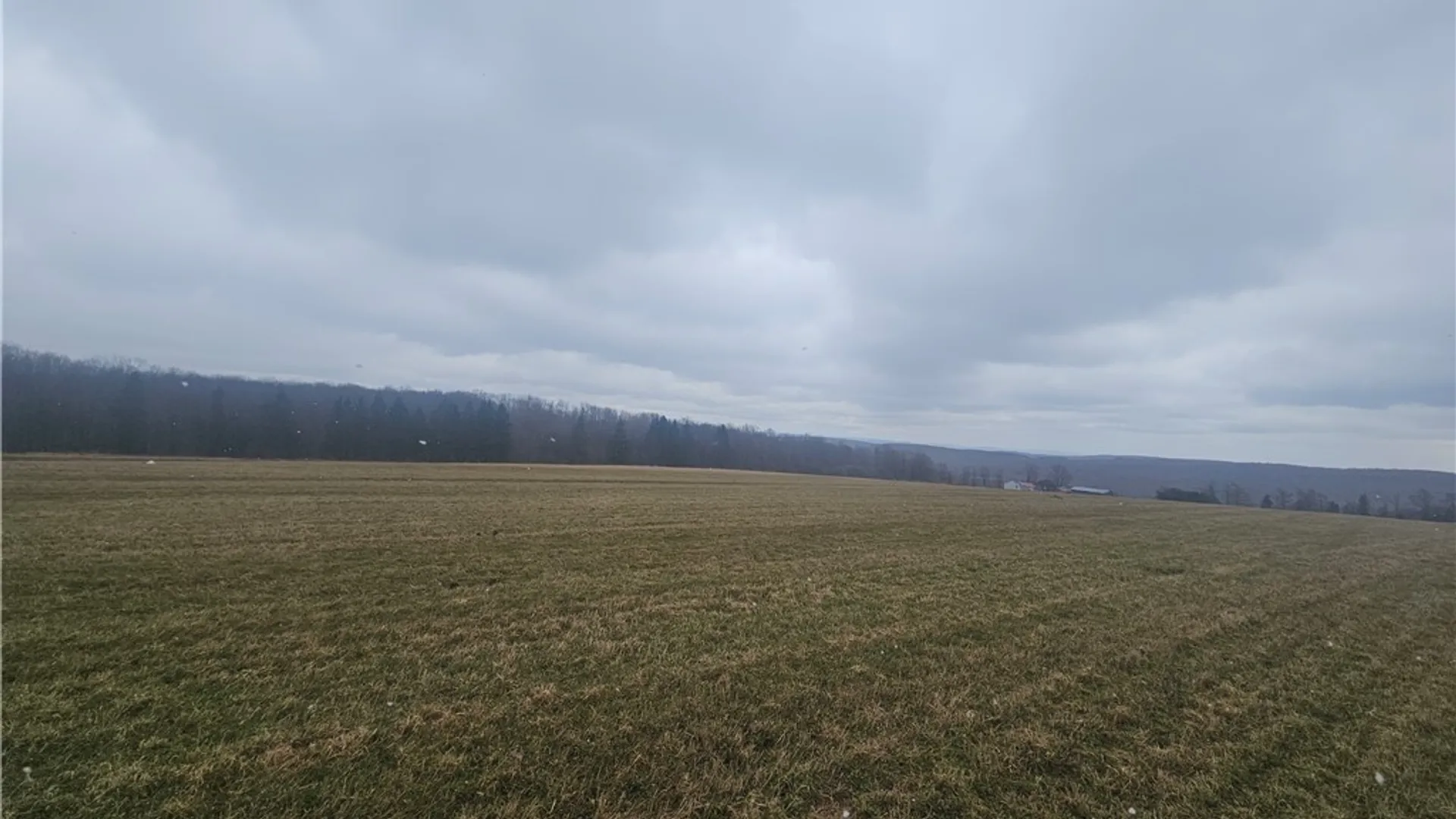 Property at Engdahl Road, Charlotte, NY 14723 30