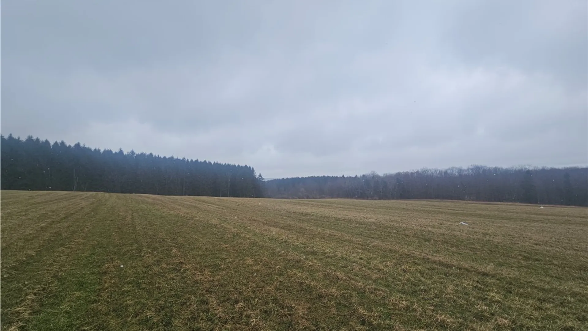 Property at Engdahl Road, Charlotte, NY 14723 31