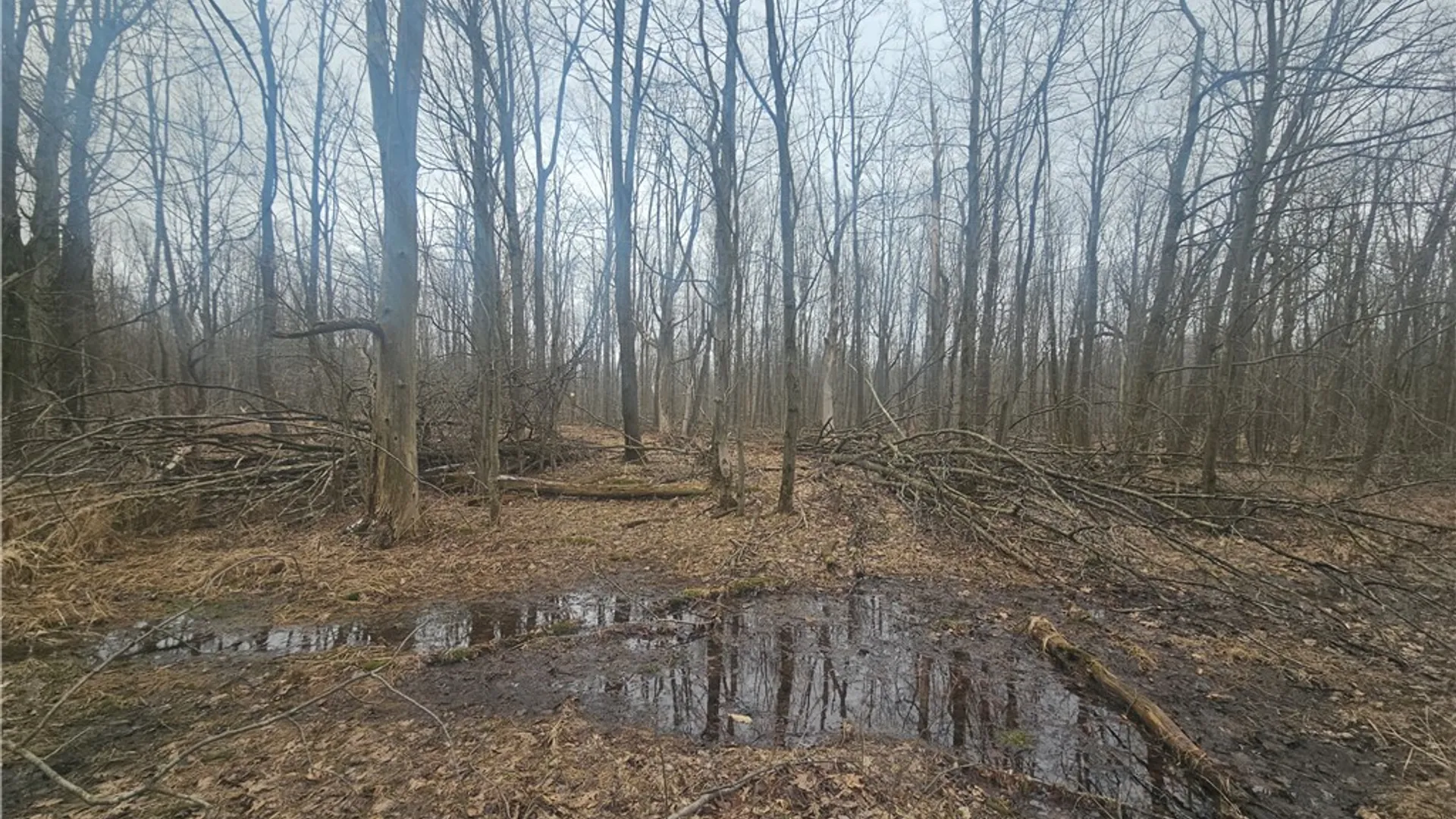 Property at Engdahl Road, Charlotte, NY 14723 32