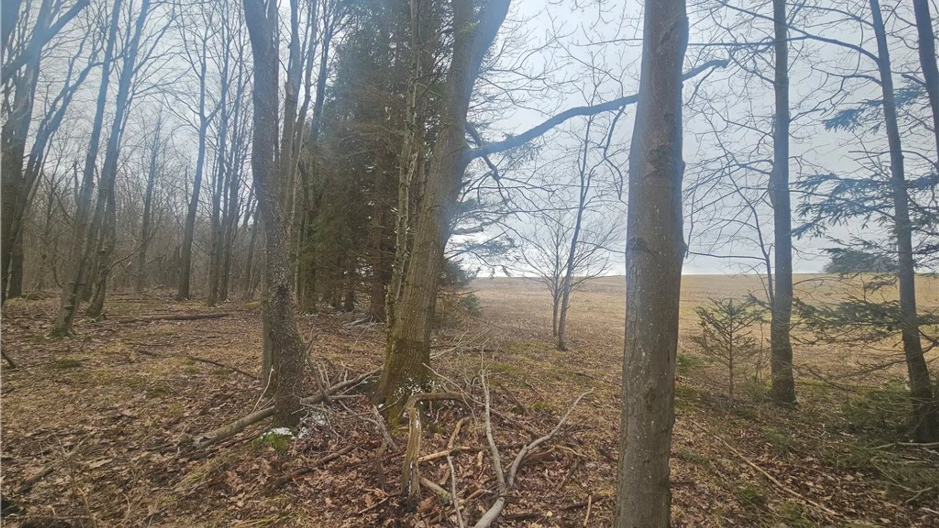 Property at Engdahl Road, Charlotte, NY 14723 34