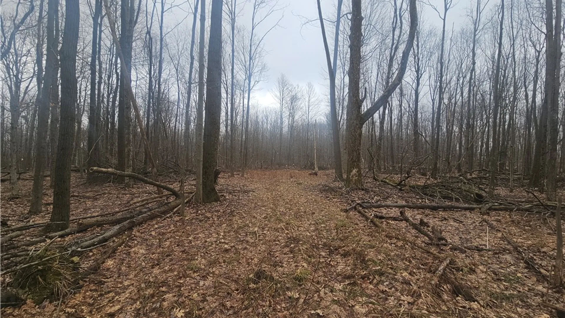 Property at Engdahl Road, Charlotte, NY 14723 36