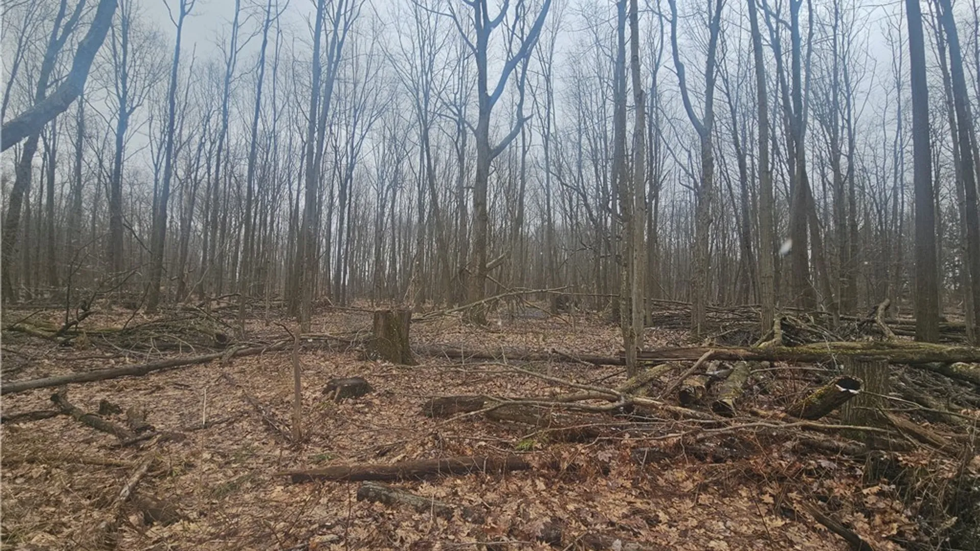 Property at Engdahl Road, Charlotte, NY 14723 37