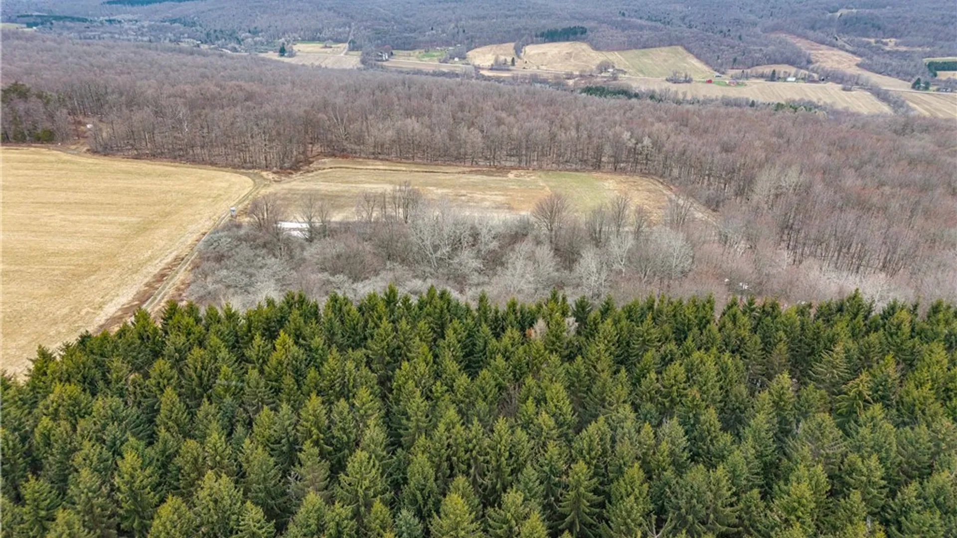 Property at Engdahl Road, Charlotte, NY 14723 4