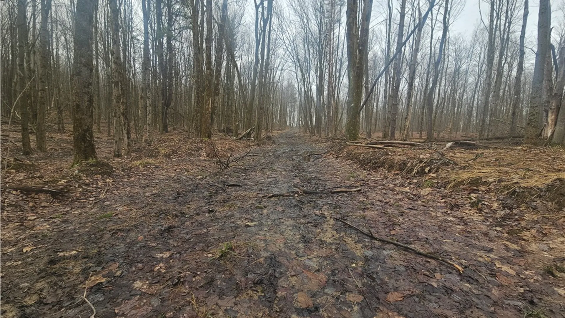 Property at Engdahl Road, Charlotte, NY 14723 41