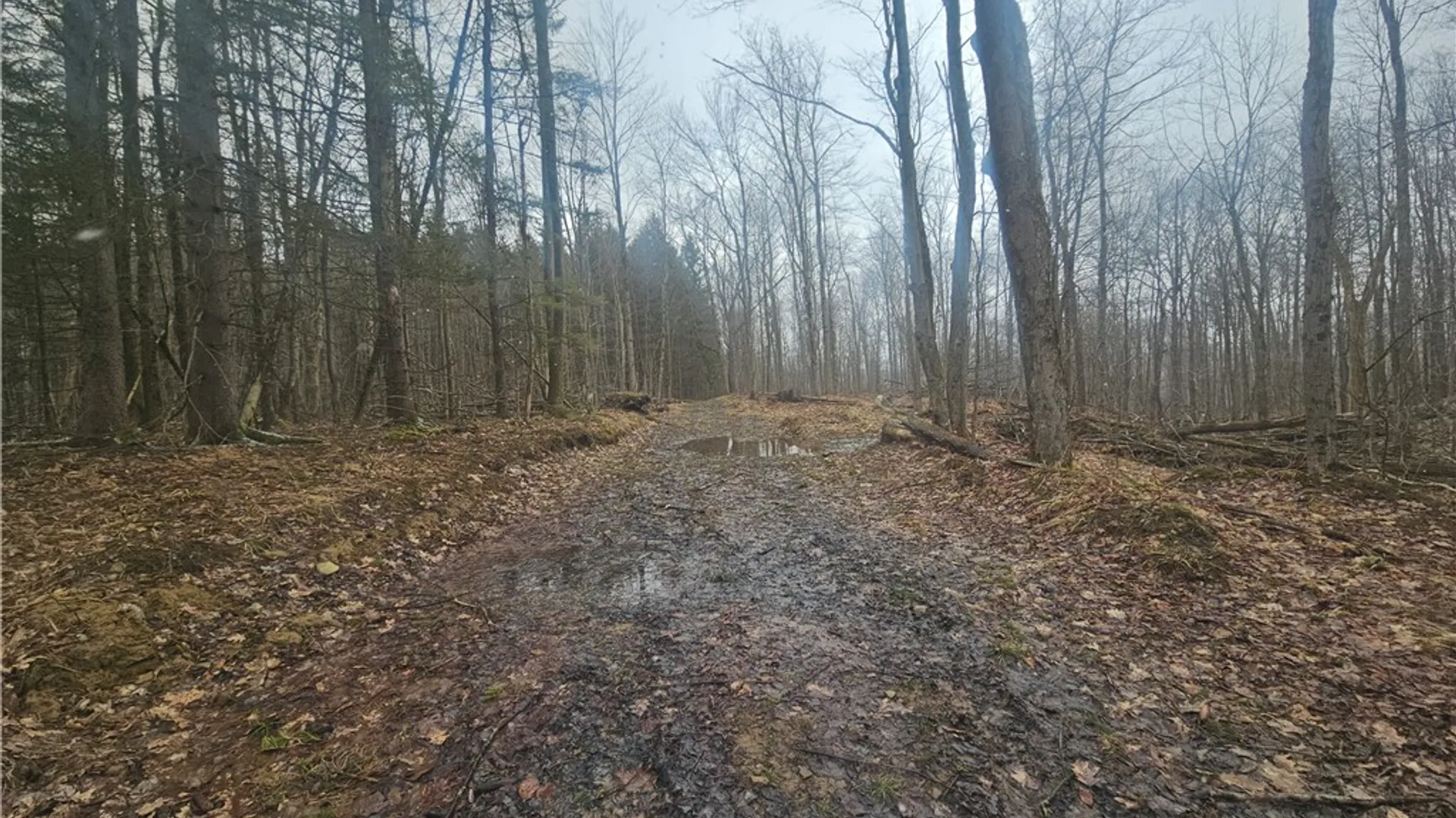 Property at Engdahl Road, Charlotte, NY 14723 42