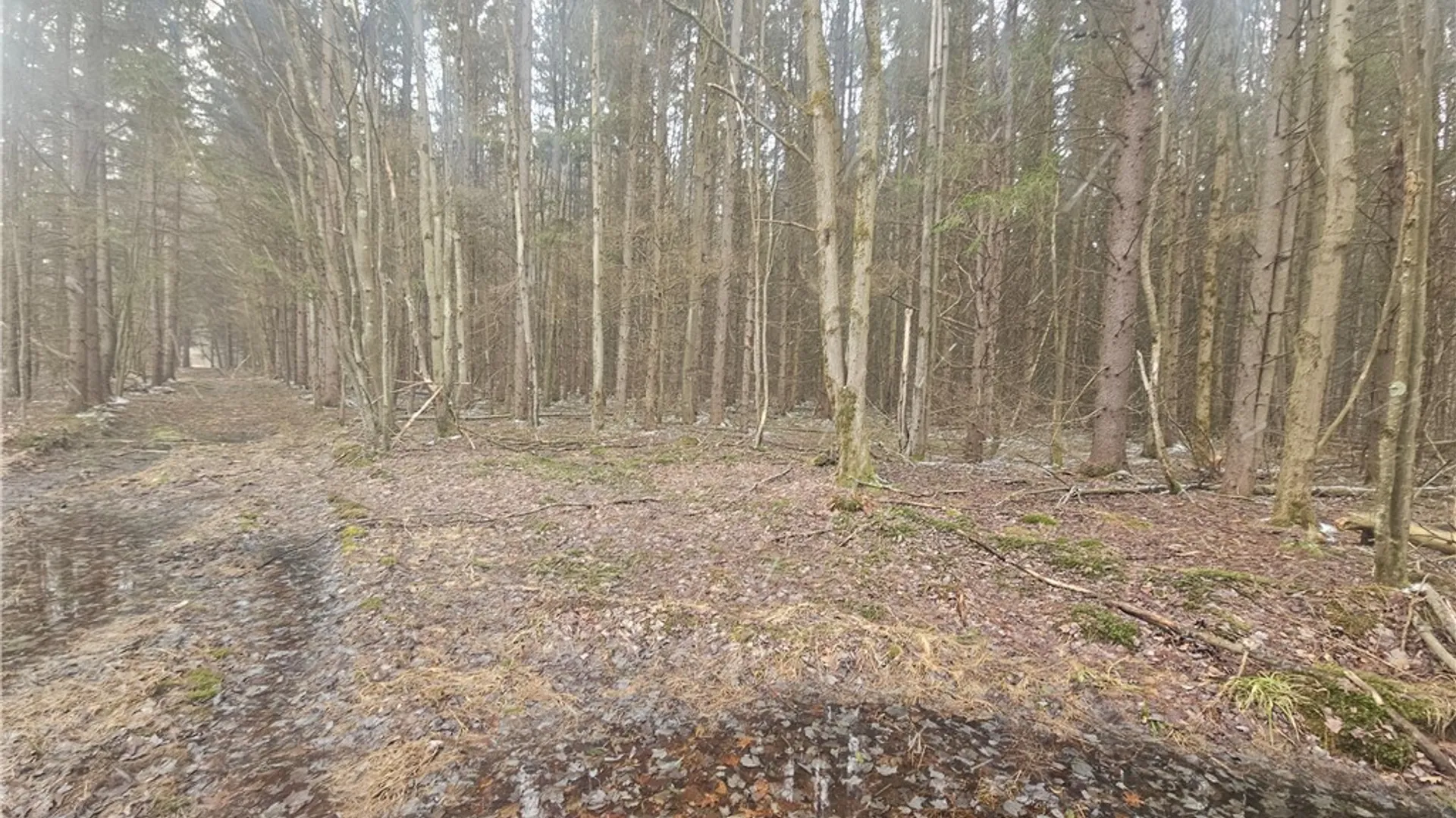 Property at Engdahl Road, Charlotte, NY 14723 44