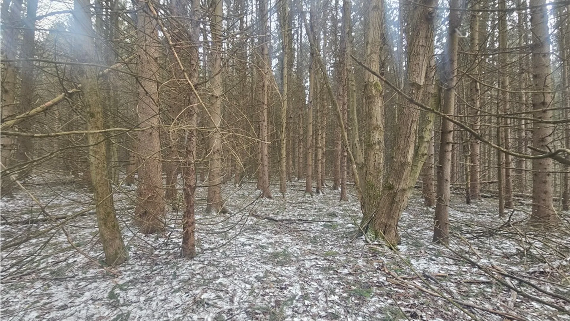 Property at Engdahl Road, Charlotte, NY 14723 45