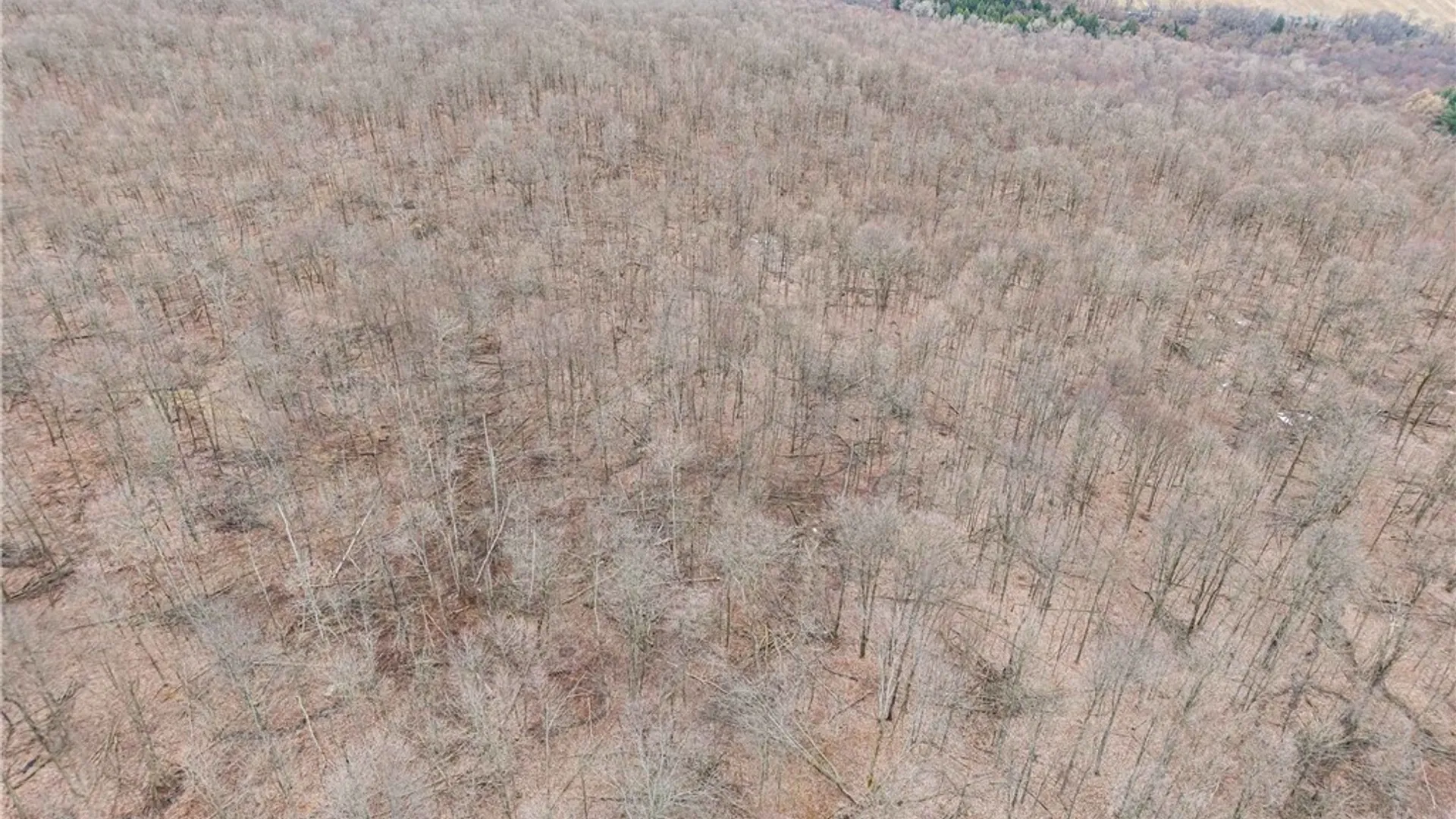 Property at Engdahl Road, Charlotte, NY 14723 6