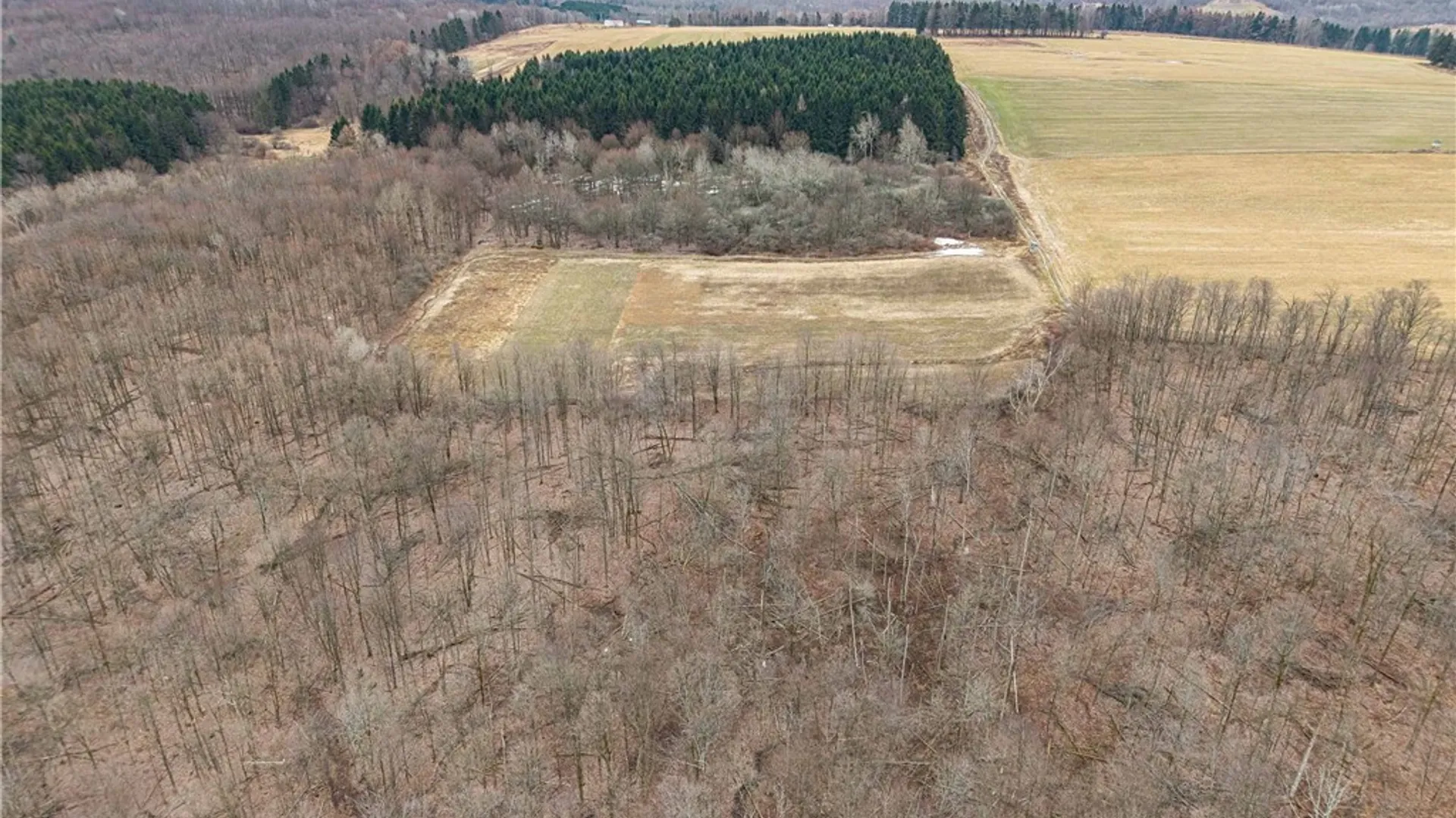 Property at Engdahl Road, Charlotte, NY 14723 7