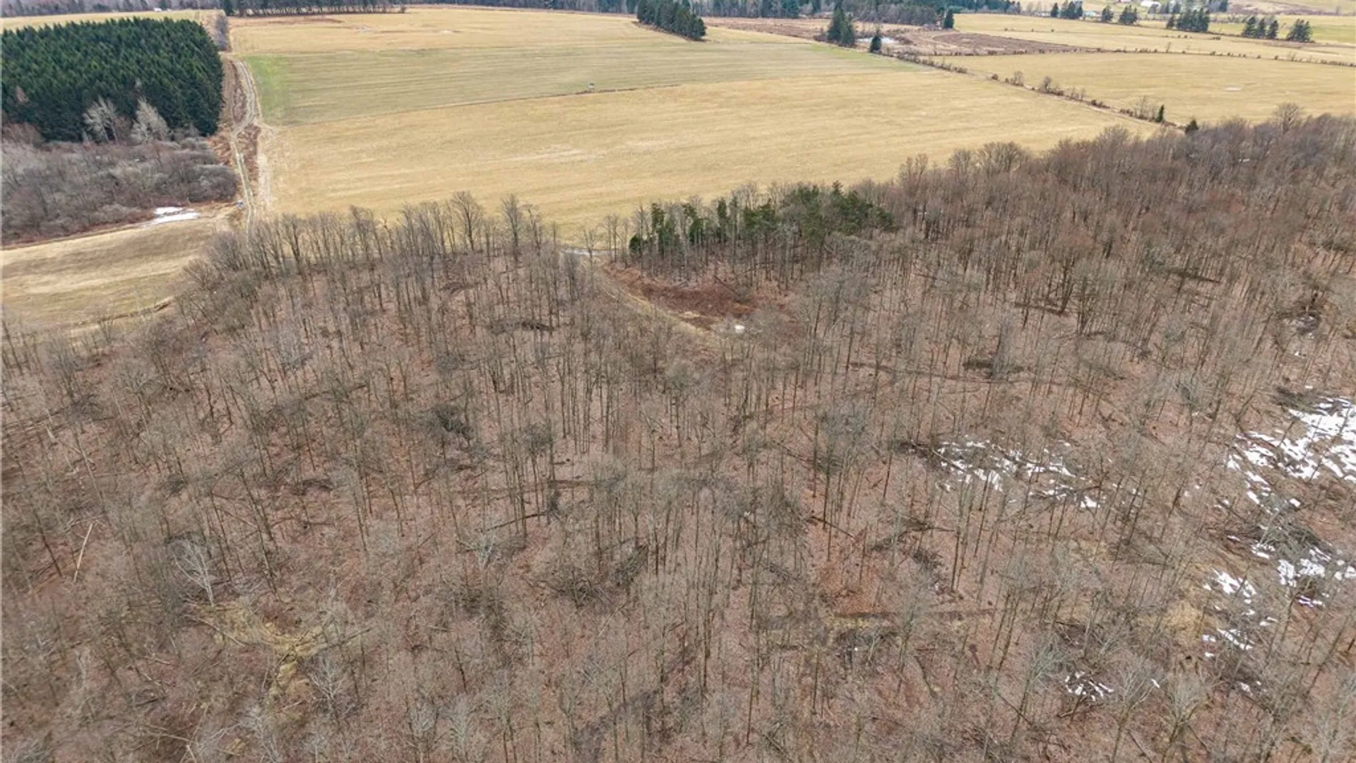 Property at Engdahl Road, Charlotte, NY 14723 8