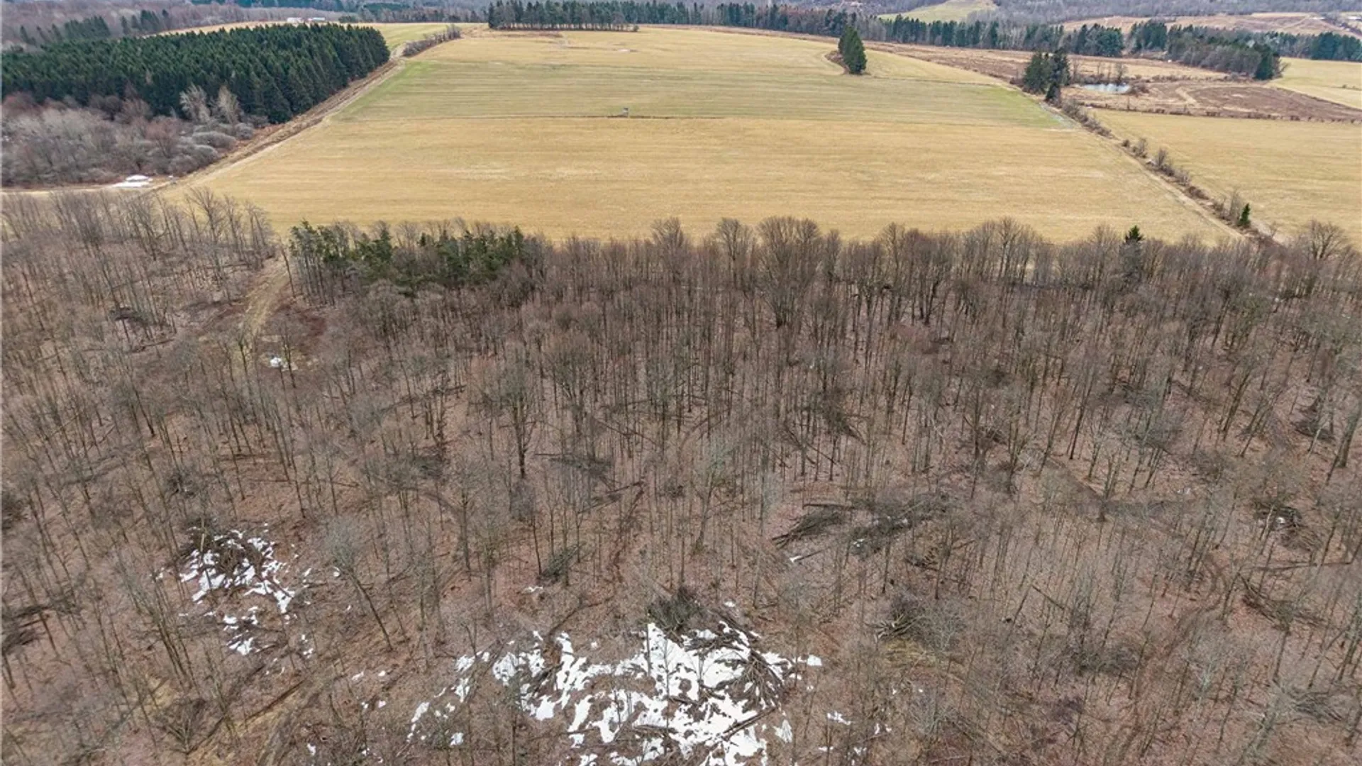 Property at Engdahl Road, Charlotte, NY 14723 9