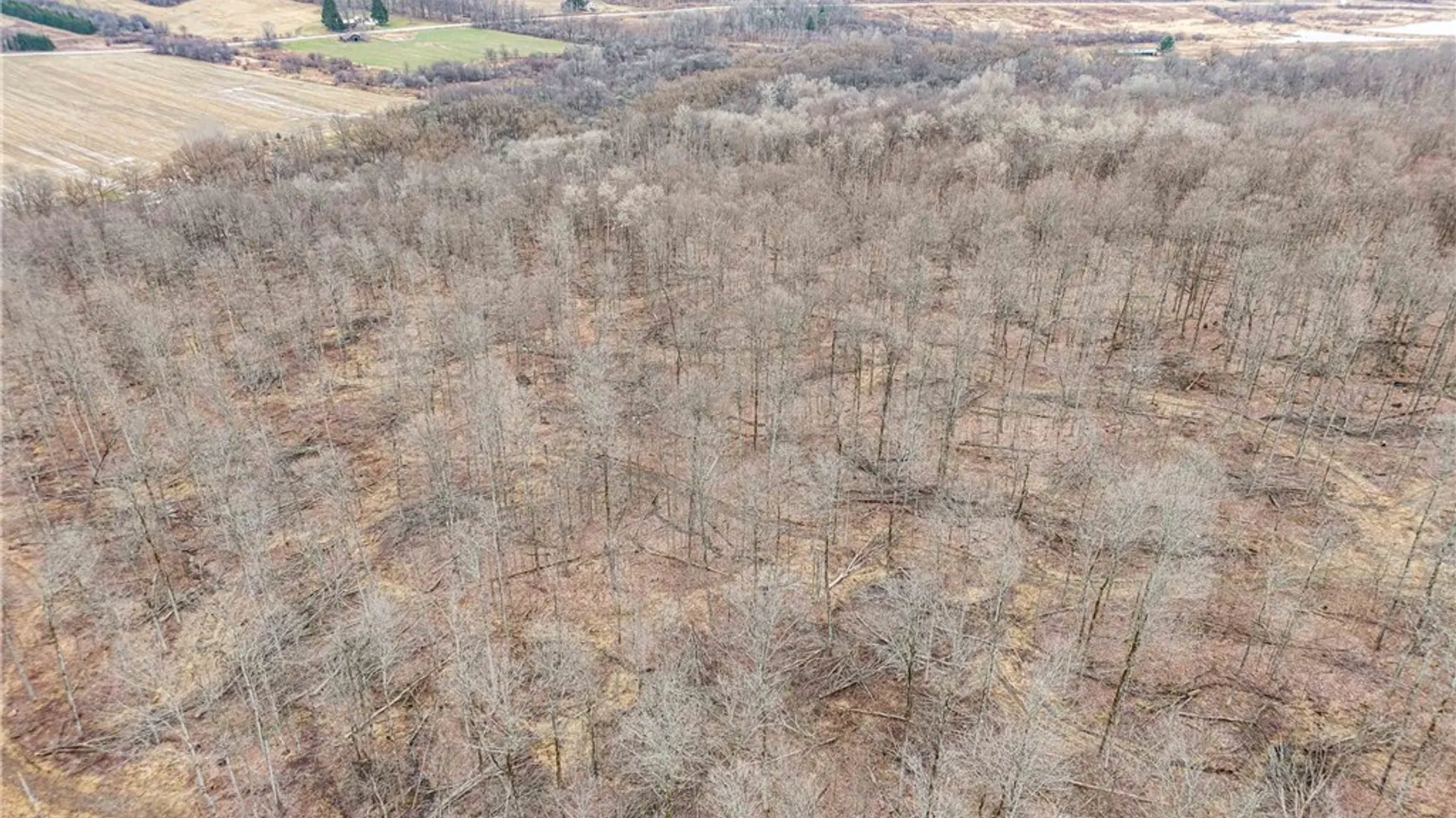 Property at Engdahl Road, Charlotte, NY 14723 10