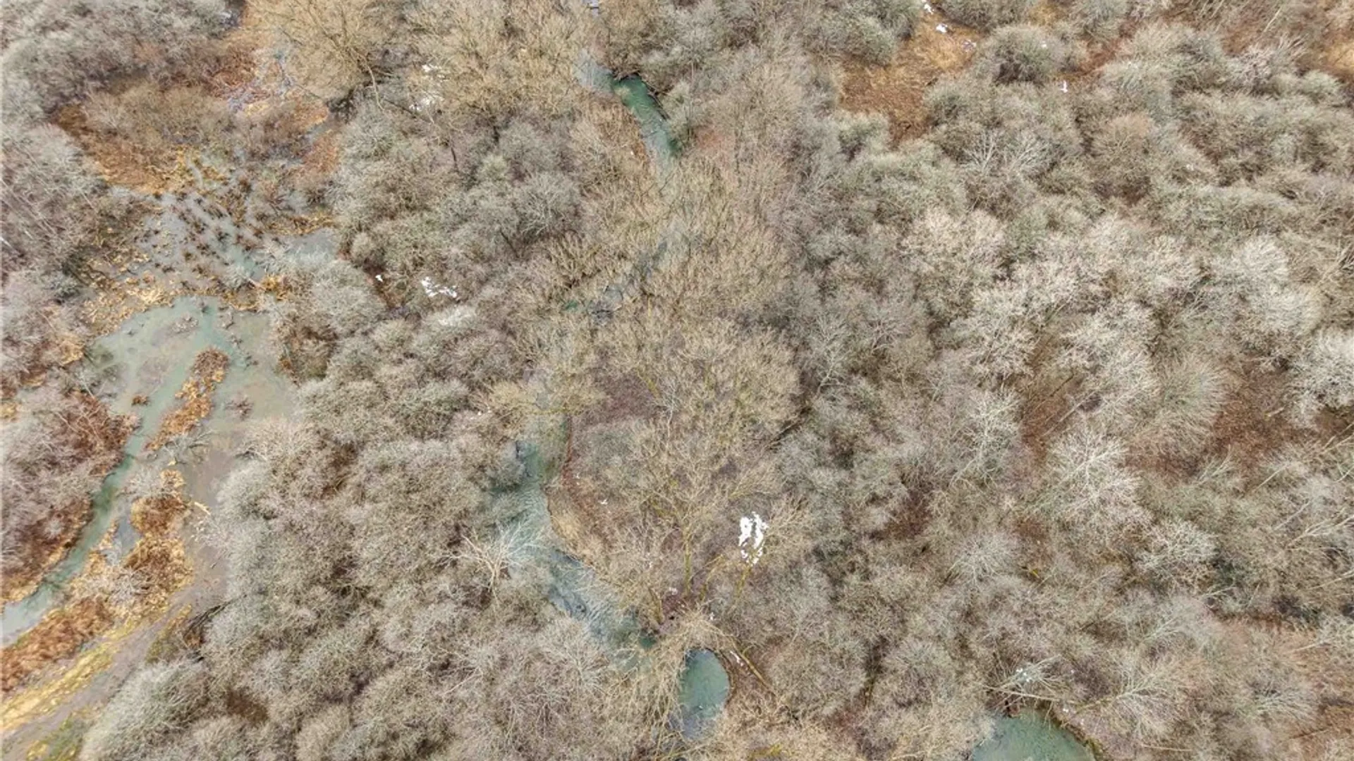 Property at Engdahl Road, Charlotte, NY 14723 11