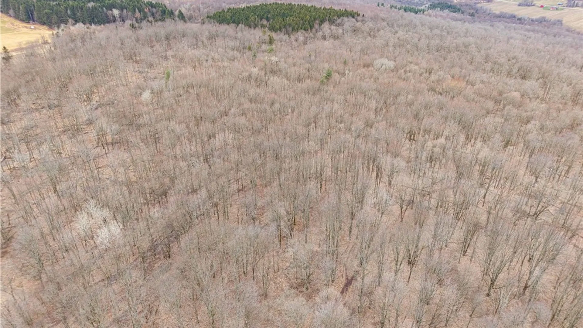 Property at Engdahl Road, Charlotte, NY 14723 12