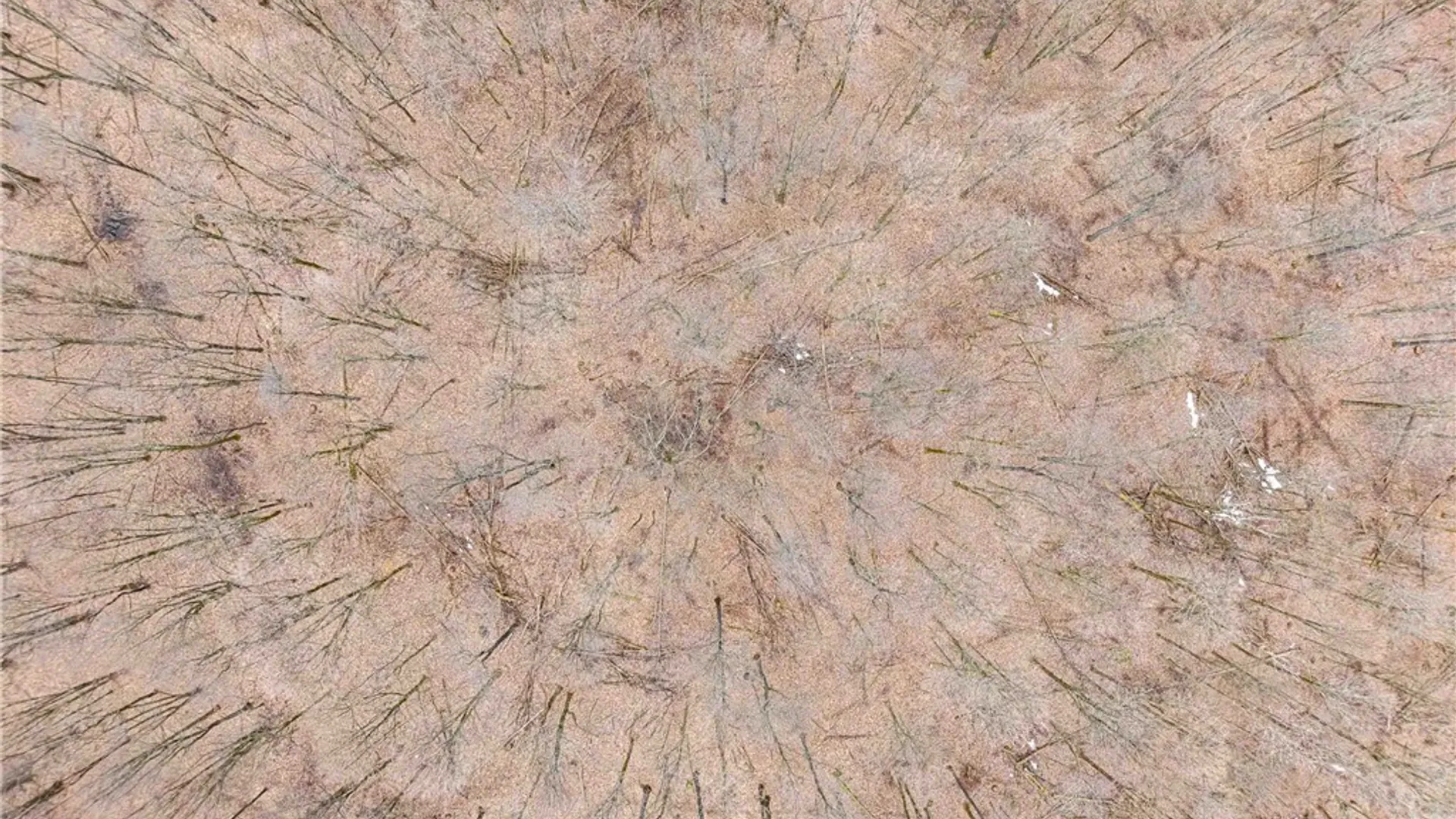 Property at Engdahl Road, Charlotte, NY 14723 13