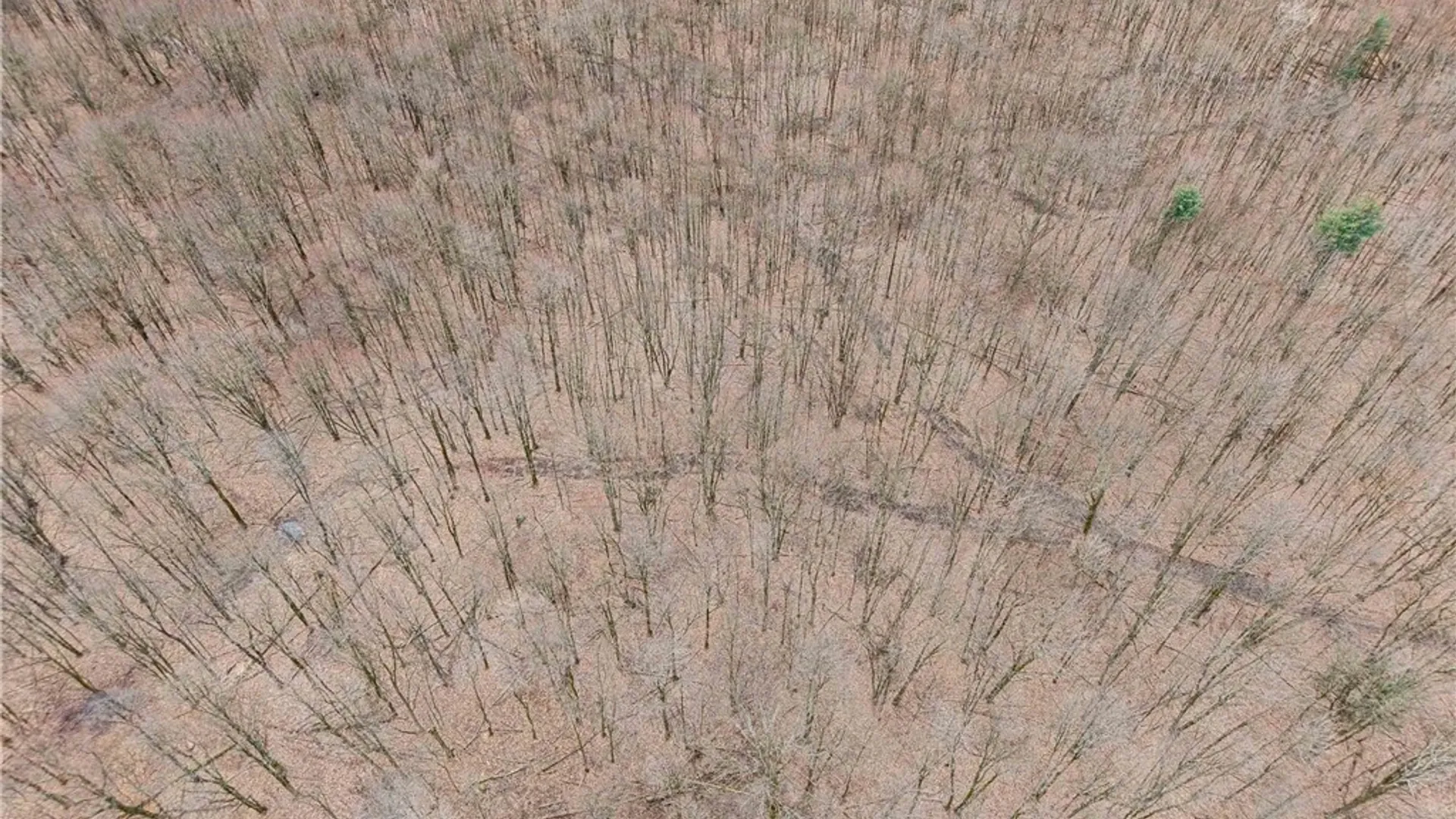 Property at Engdahl Road, Charlotte, NY 14723 14