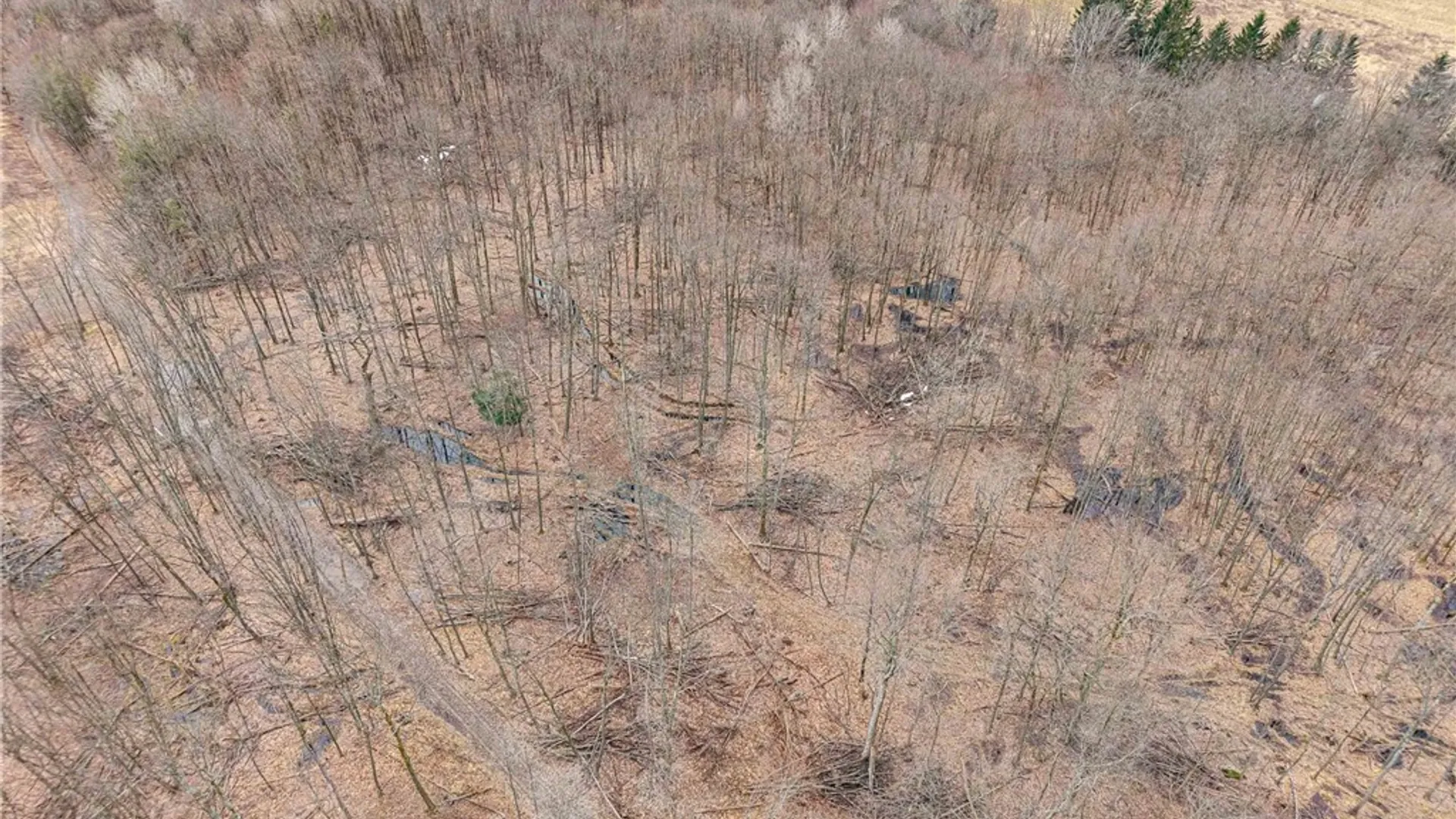 Property at Engdahl Road, Charlotte, NY 14723 15