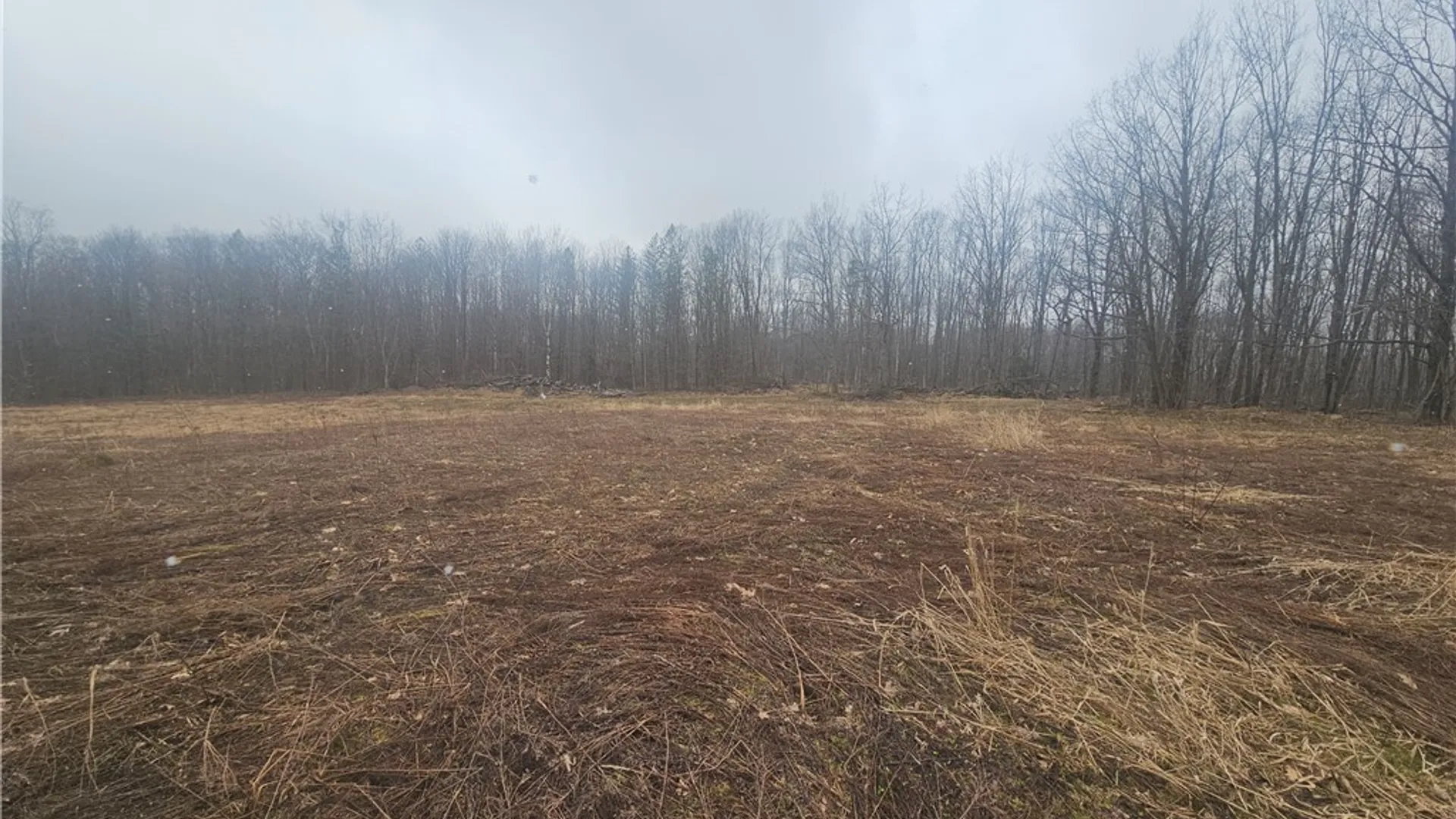 Property at Engdahl Road, Charlotte, NY 14723 29