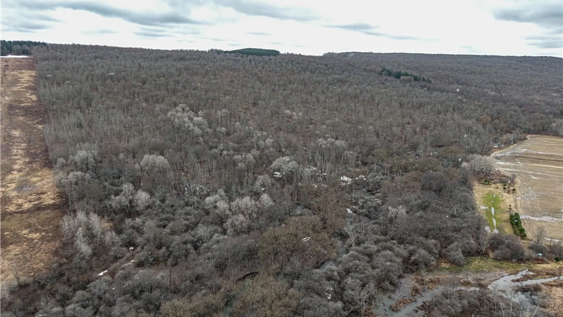 Property at Engdahl Road, Charlotte, NY 14723 3