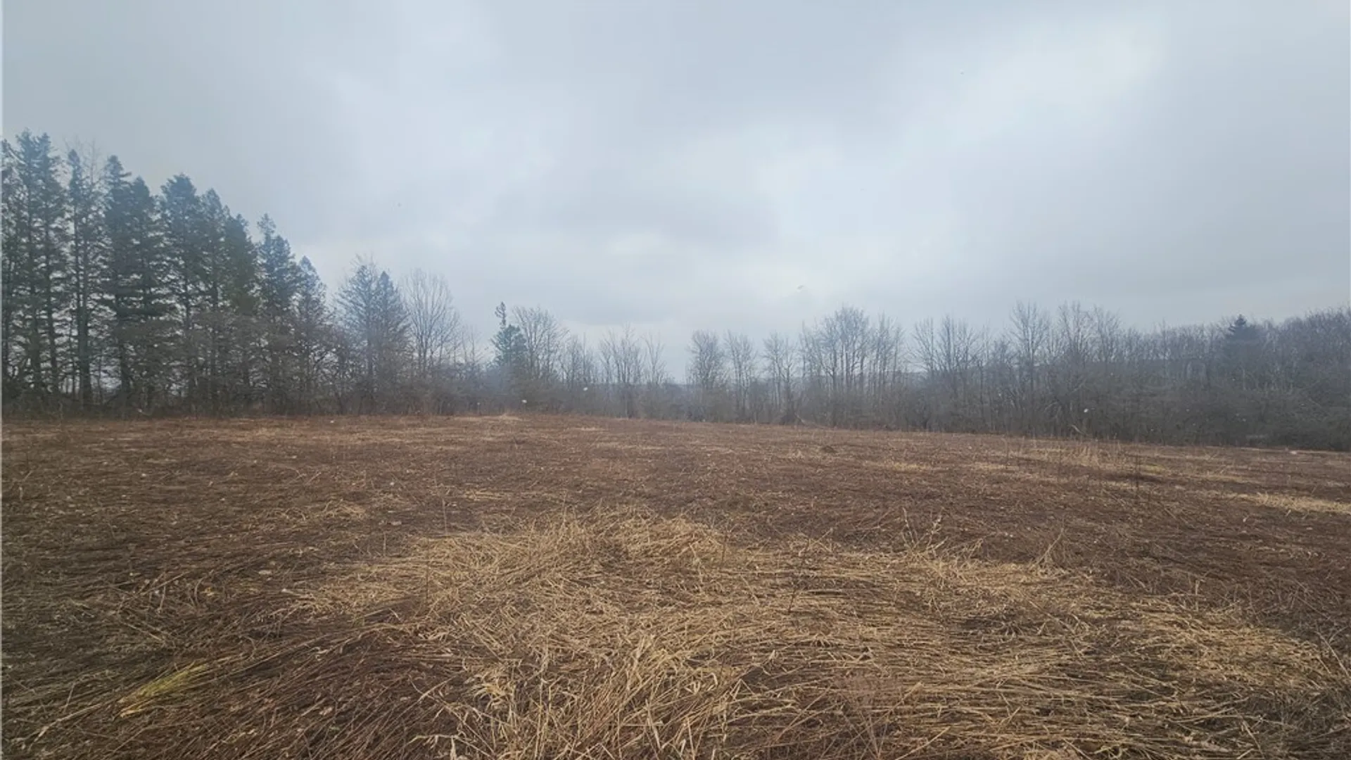 Property at Engdahl Road, Charlotte, NY 14723 31