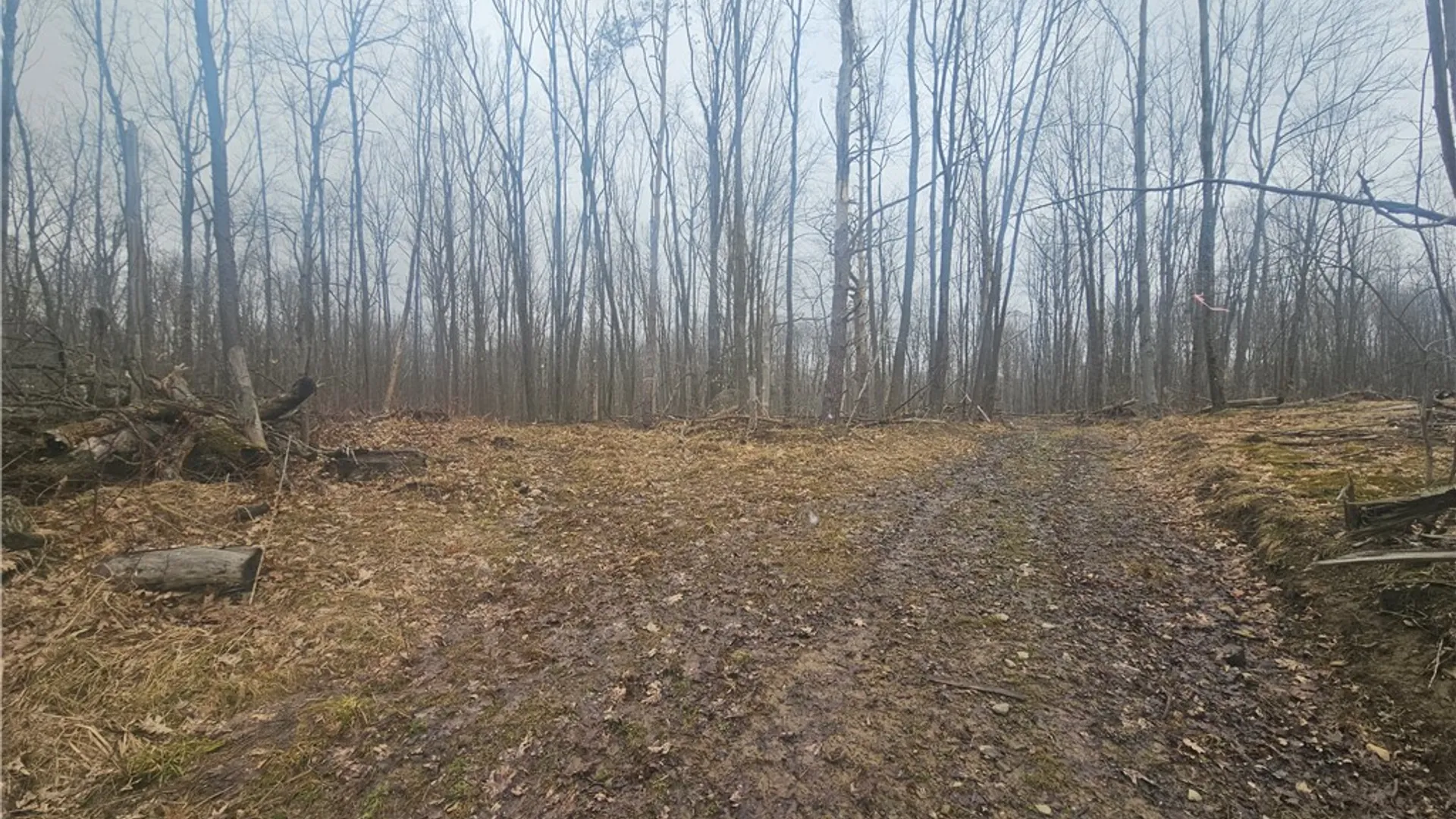 Property at Engdahl Road, Charlotte, NY 14723 32