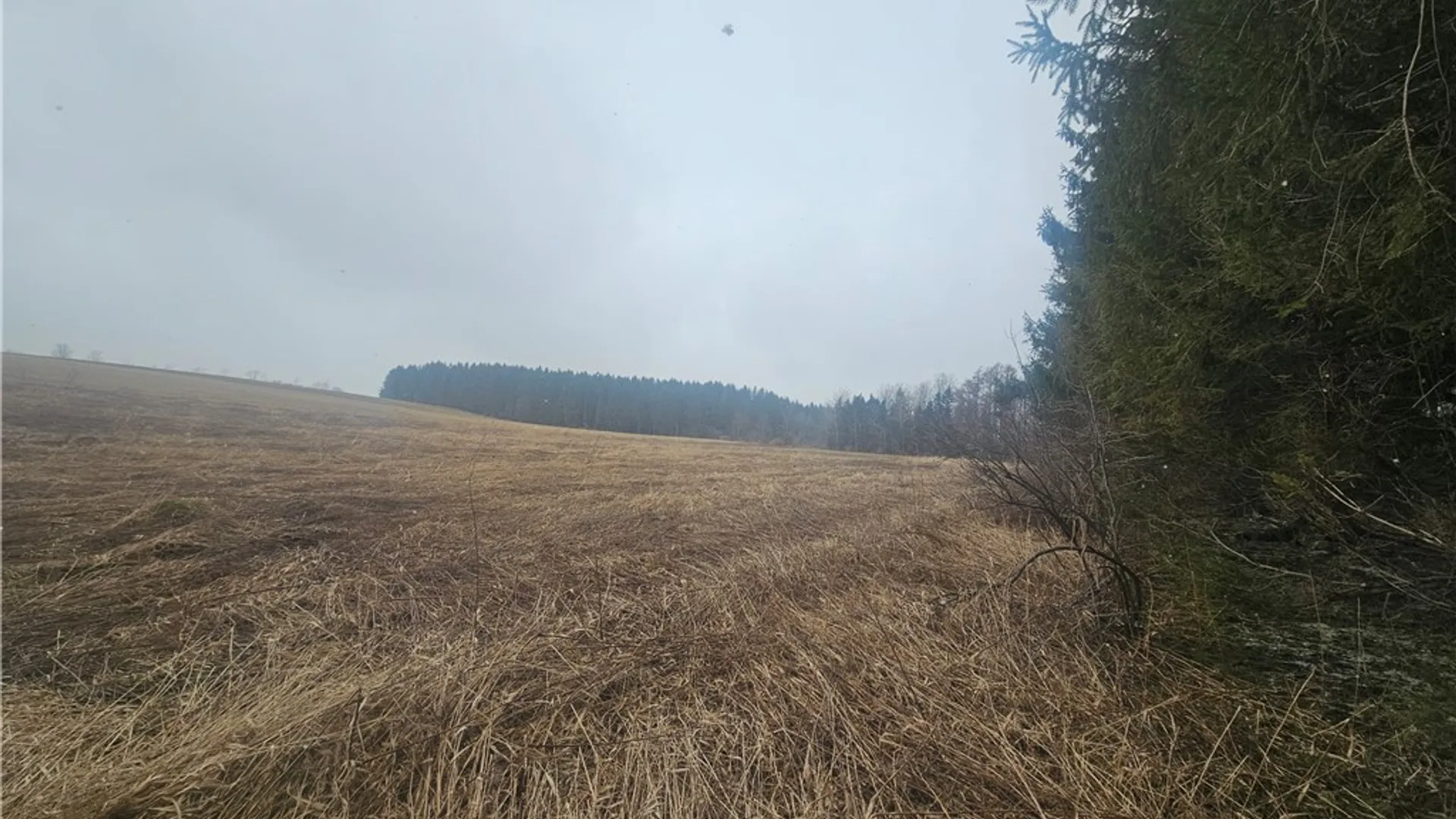 Property at Engdahl Road, Charlotte, NY 14723 39