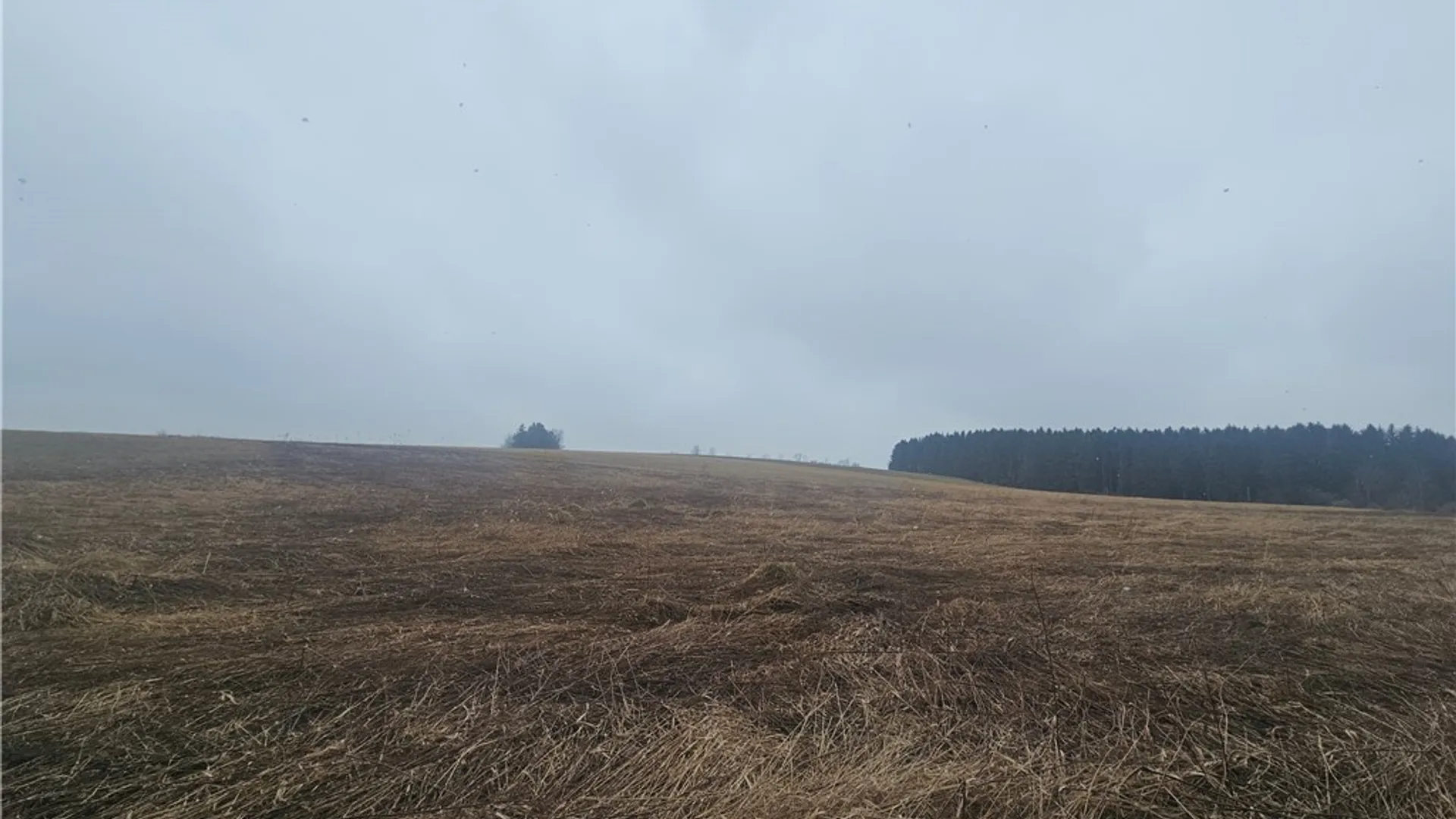 Property at Engdahl Road, Charlotte, NY 14723 40