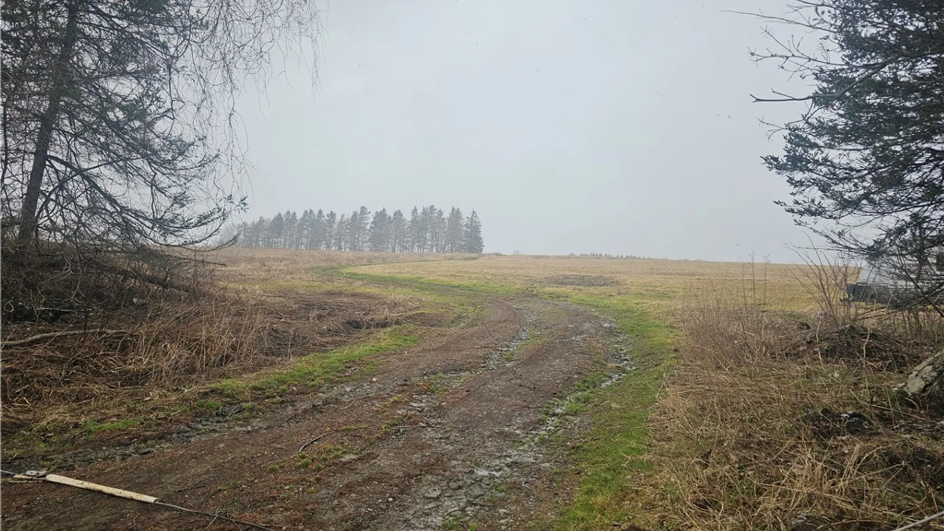 Property at Engdahl Road, Charlotte, NY 14723 41