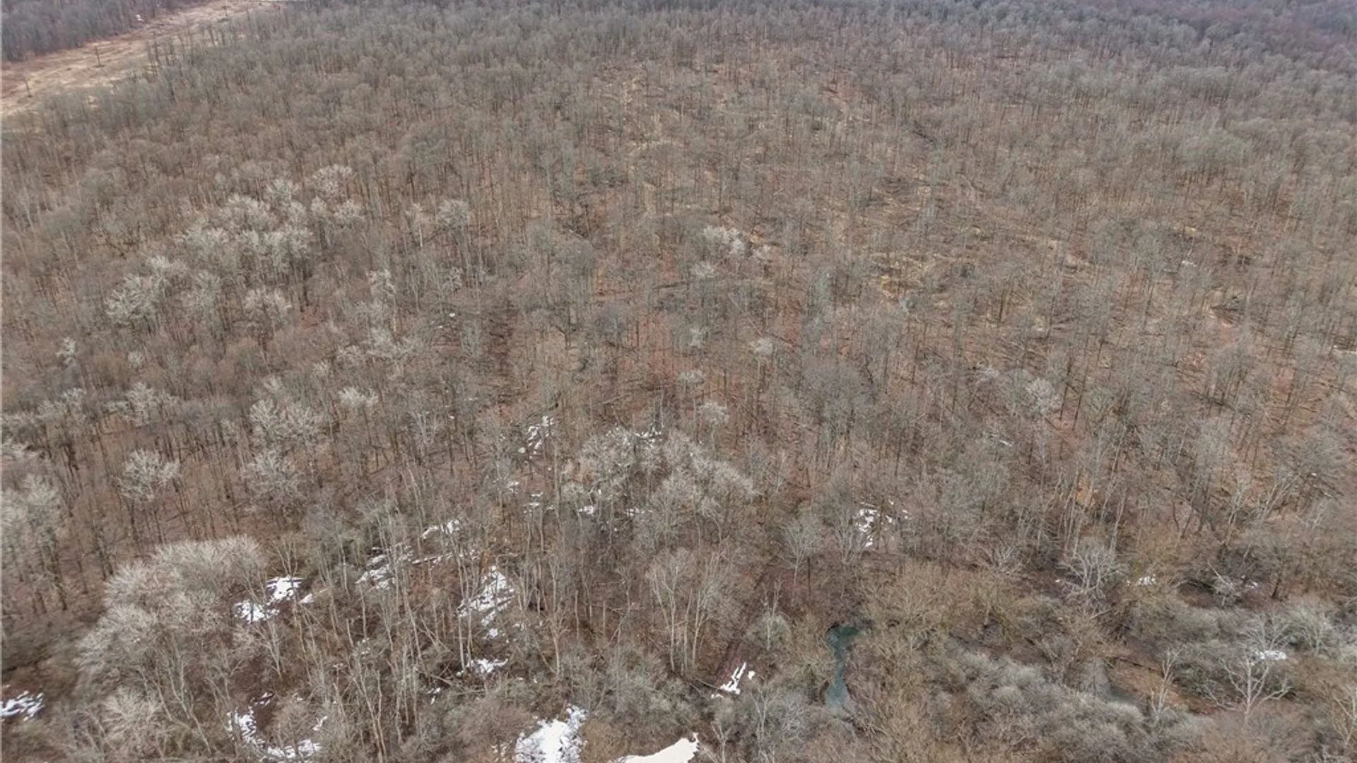 Property at Engdahl Road, Charlotte, NY 14723 5