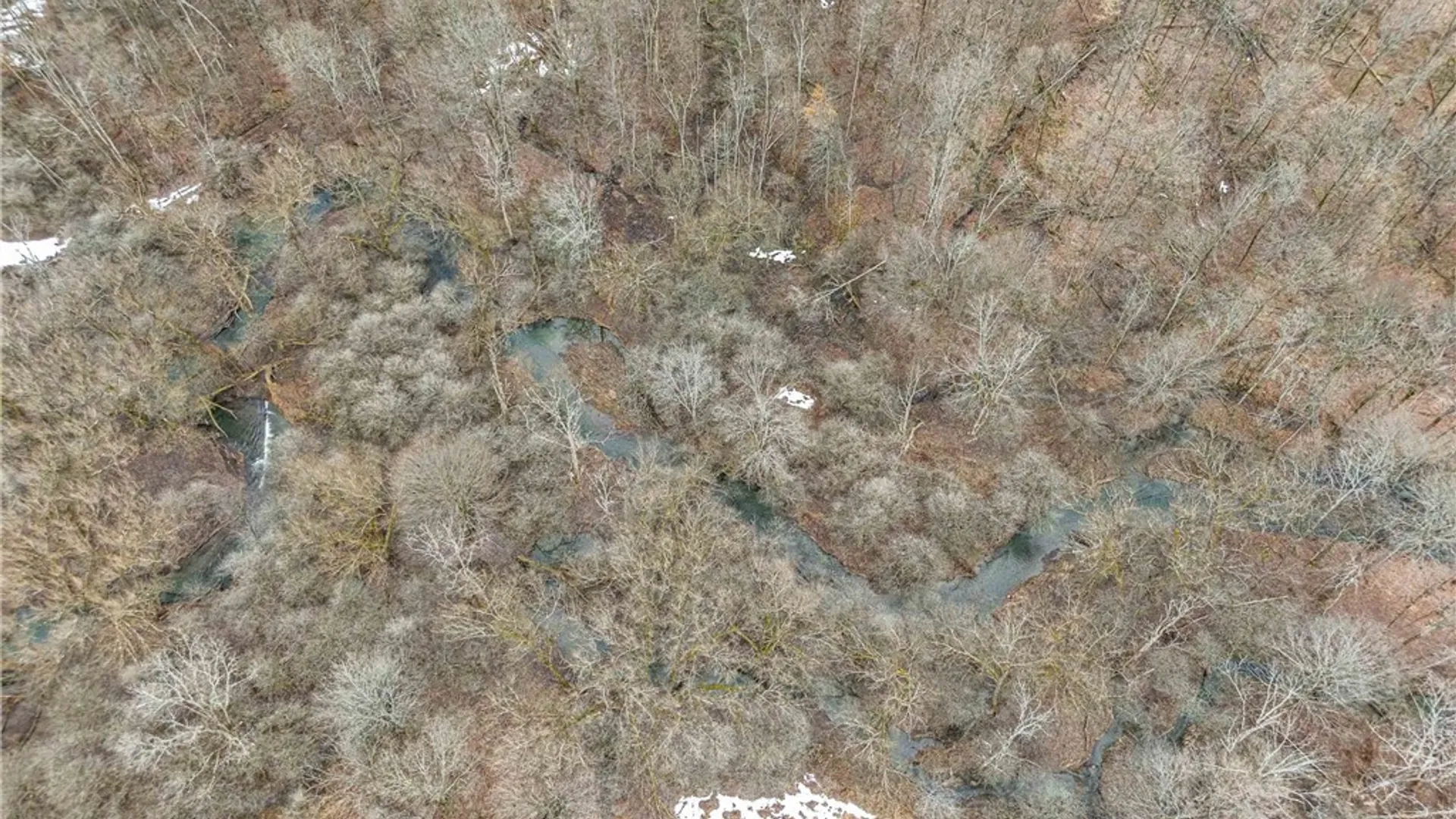 Property at Engdahl Road, Charlotte, NY 14723 6