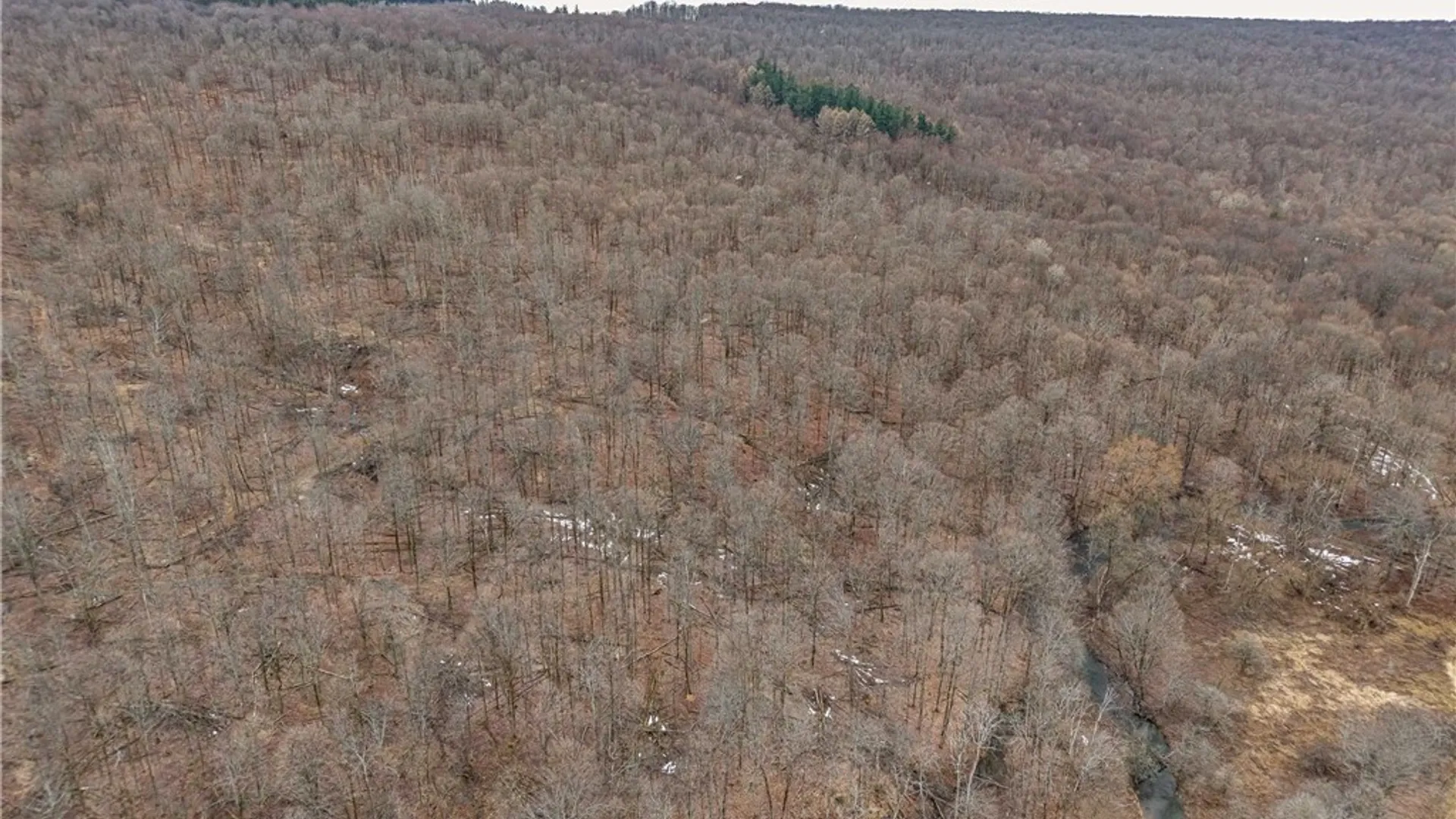 Property at Engdahl Road, Charlotte, NY 14723 7