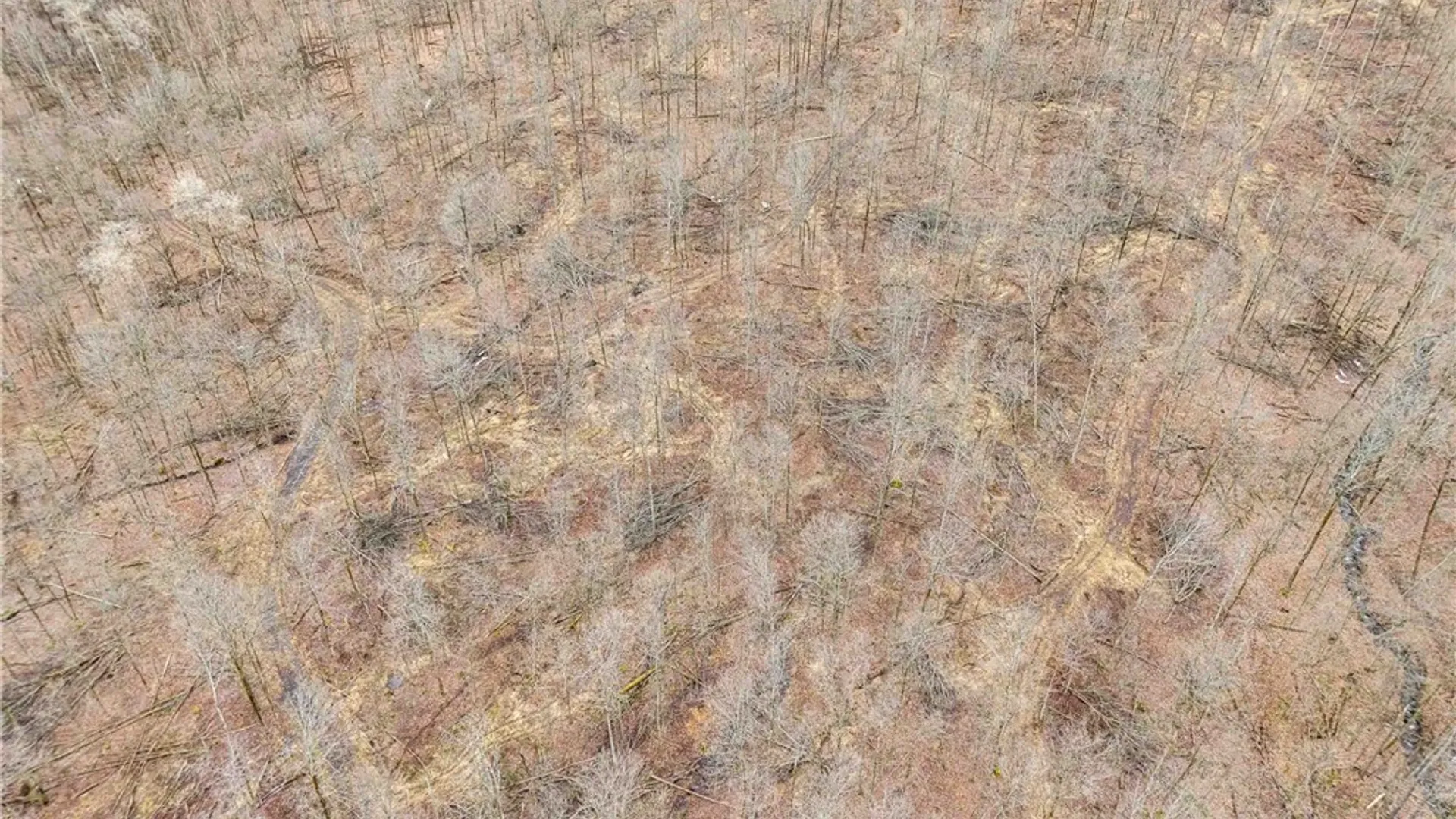 Property at Engdahl Road, Charlotte, NY 14723 8