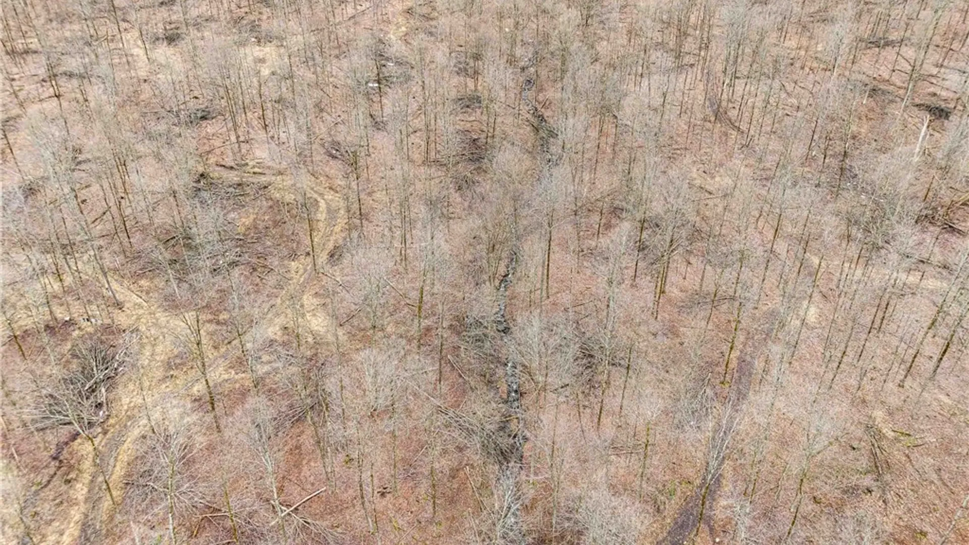 Property at Engdahl Road, Charlotte, NY 14723 9