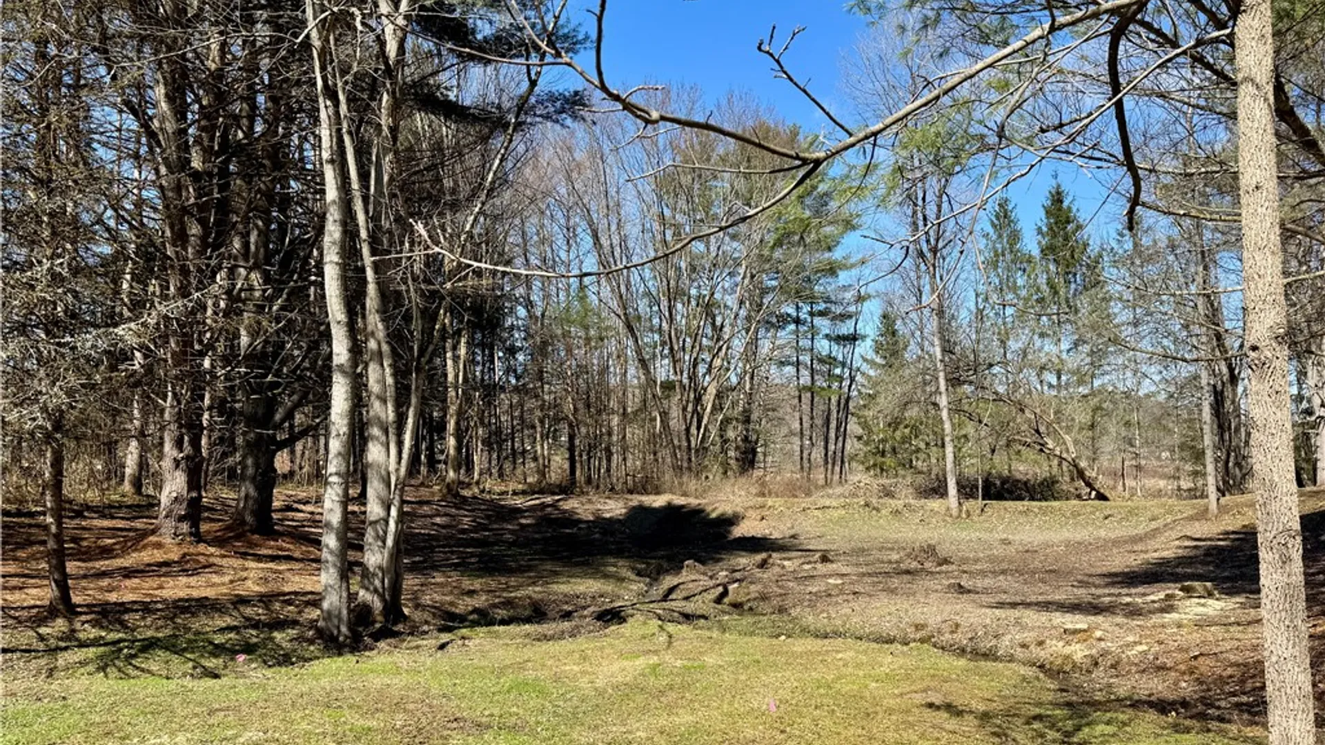 Property at 423 Valleyview Road, Unadilla, NY 13733 7