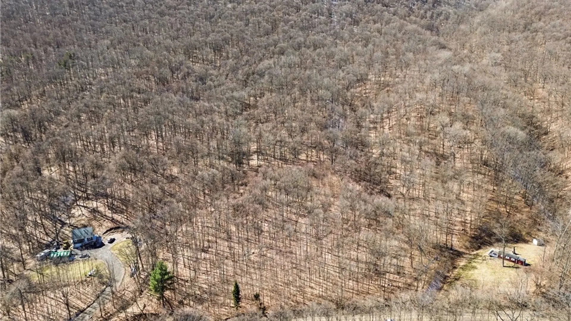 Property at 7420 Feather Street, Springwater, NY 14512 10