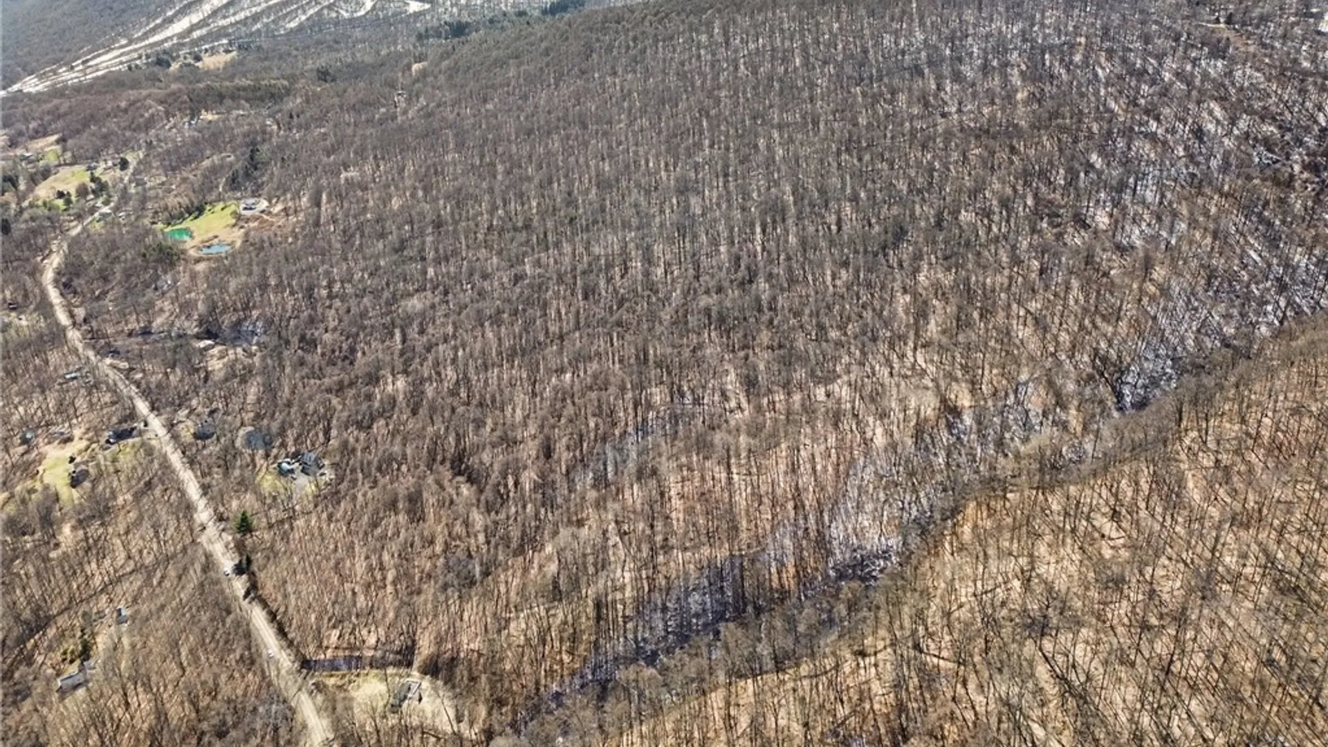 Property at 7420 Feather Street, Springwater, NY 14512 11