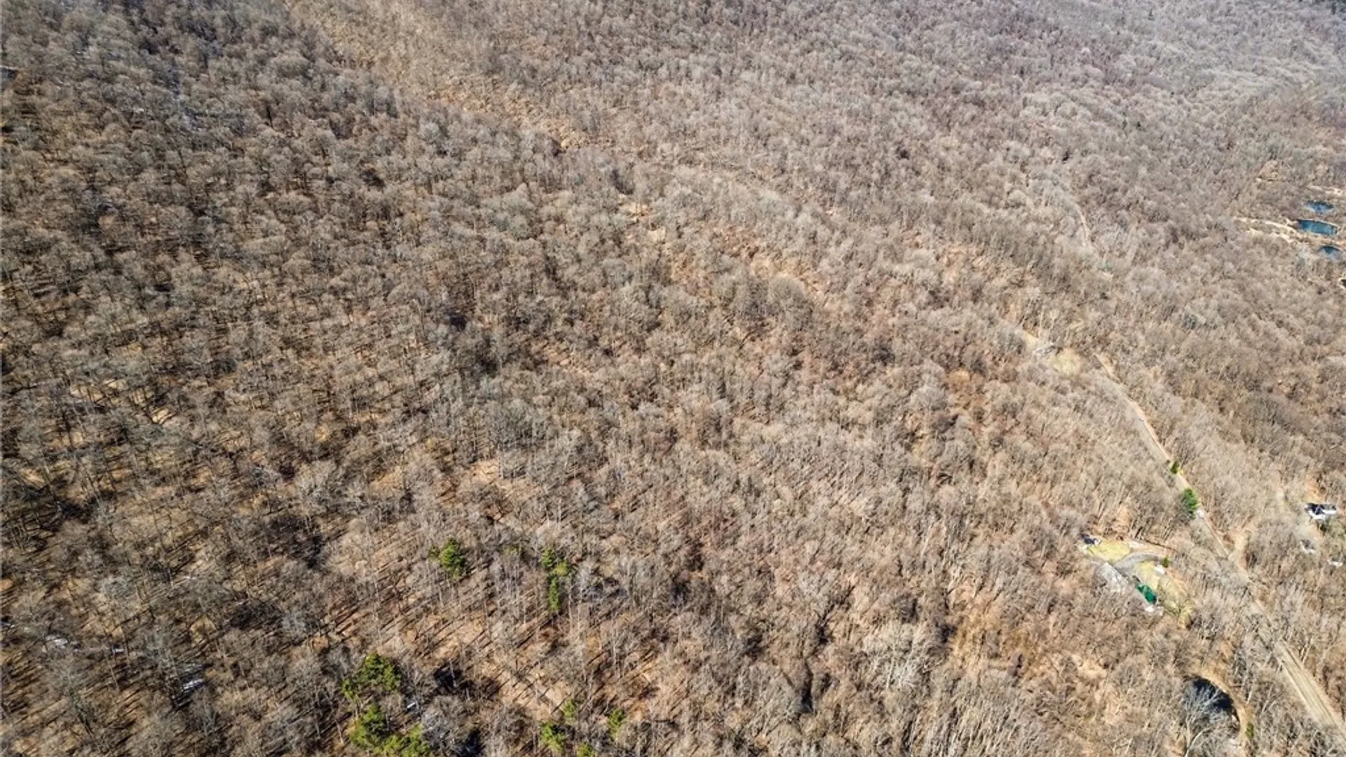 Property at 7420 Feather Street, Springwater, NY 14512 12