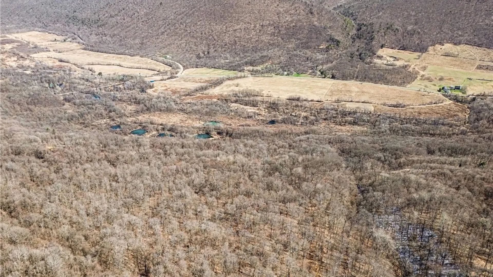 Property at 7420 Feather Street, Springwater, NY 14512 13