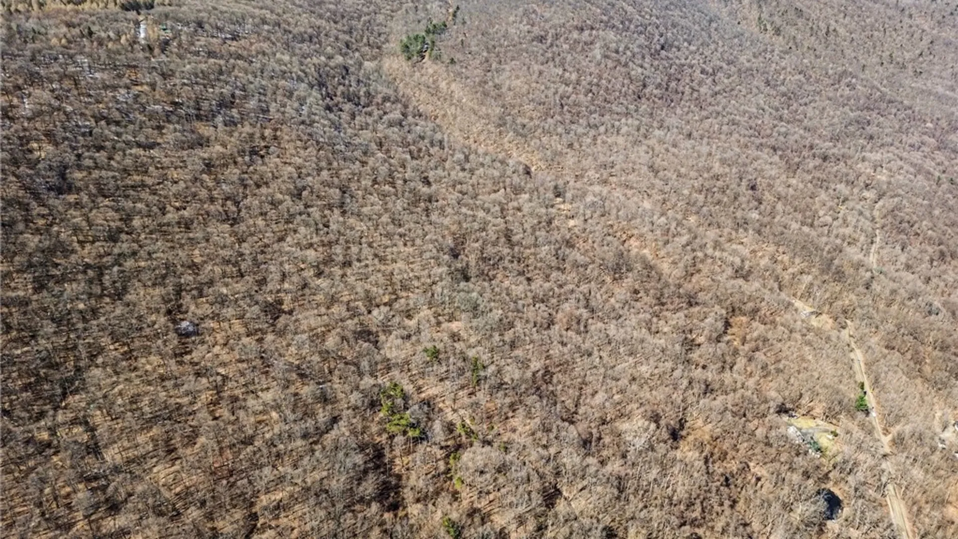 Property at 7420 Feather Street, Springwater, NY 14512 16