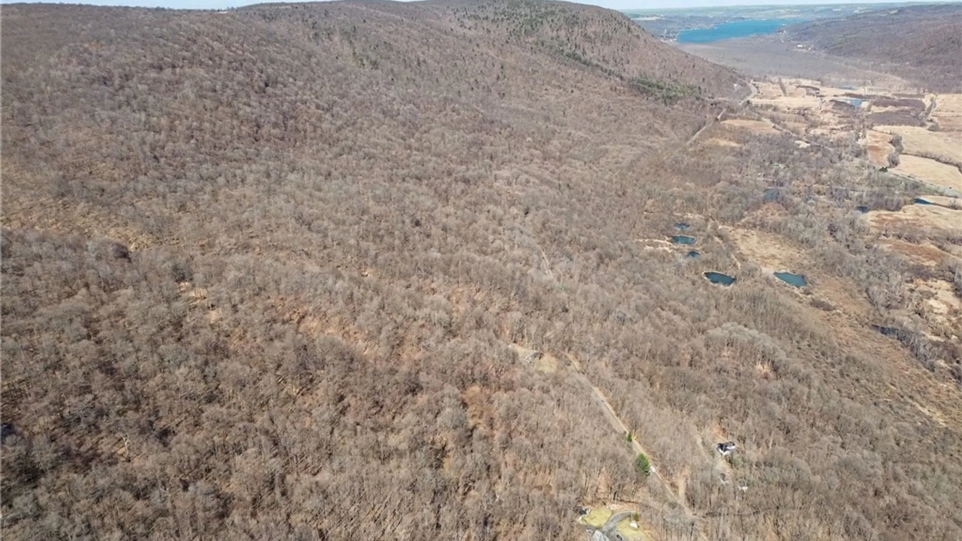 Property at 7420 Feather Street, Springwater, NY 14512 17