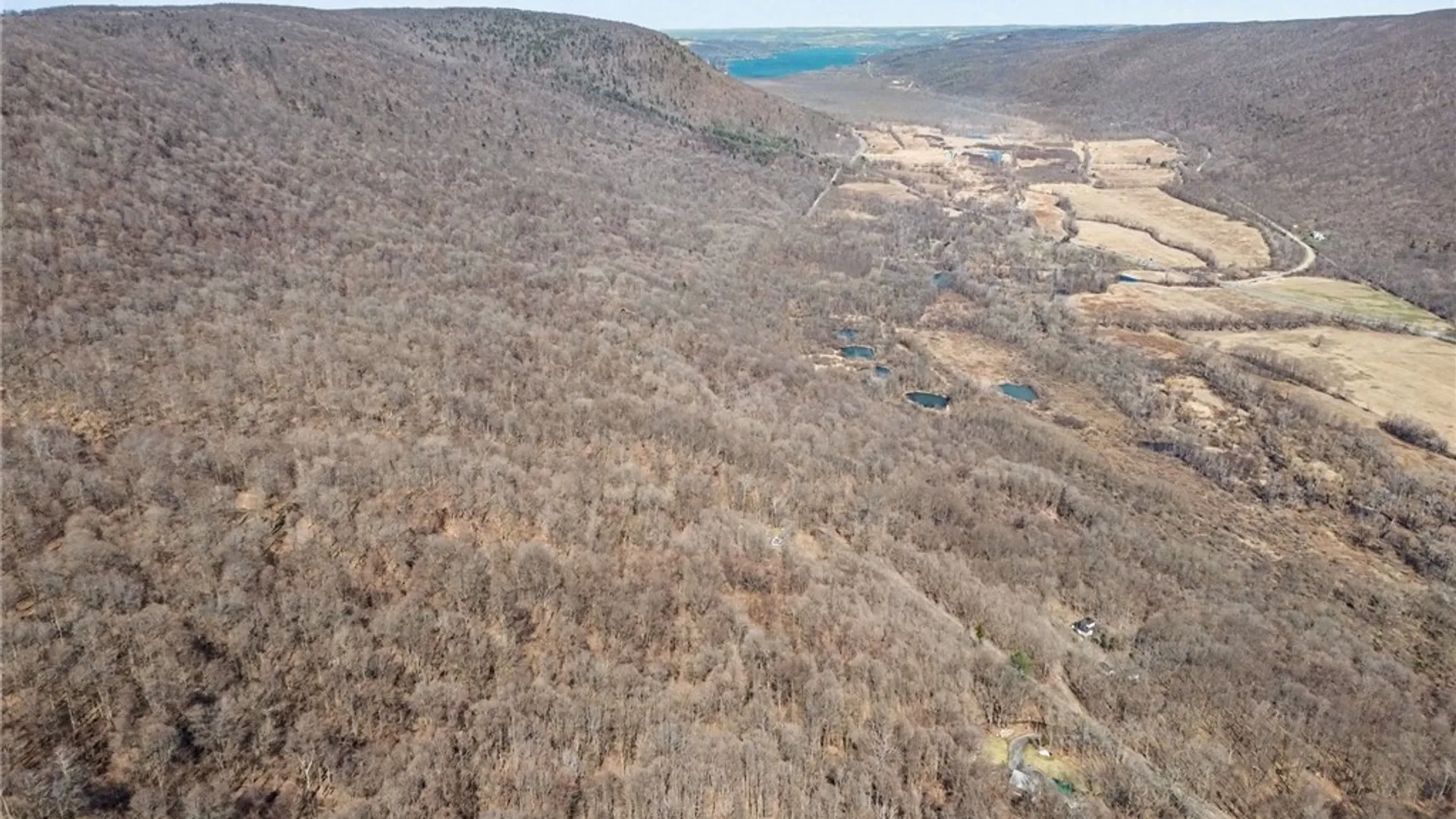 Property at 7420 Feather Street, Springwater, NY 14512 18