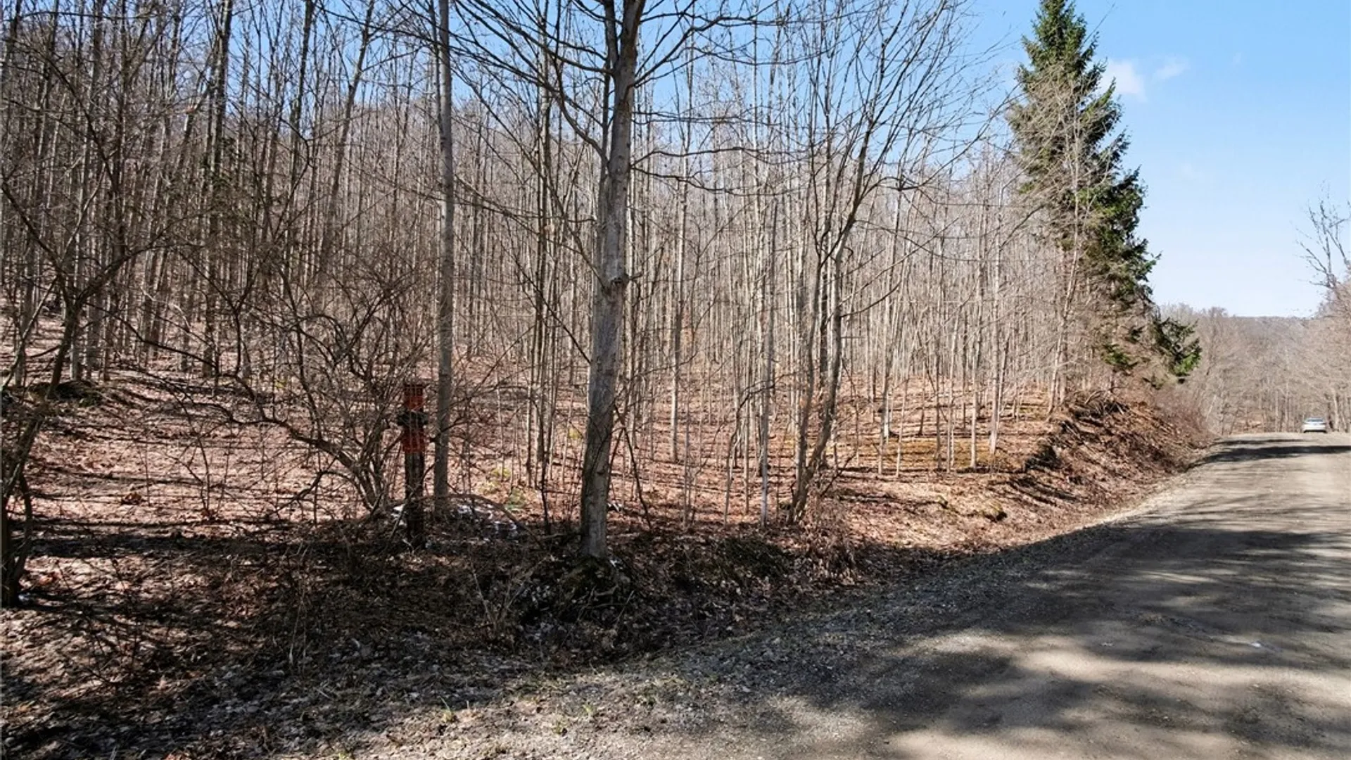 Property at 7420 Feather Street, Springwater, NY 14512 2